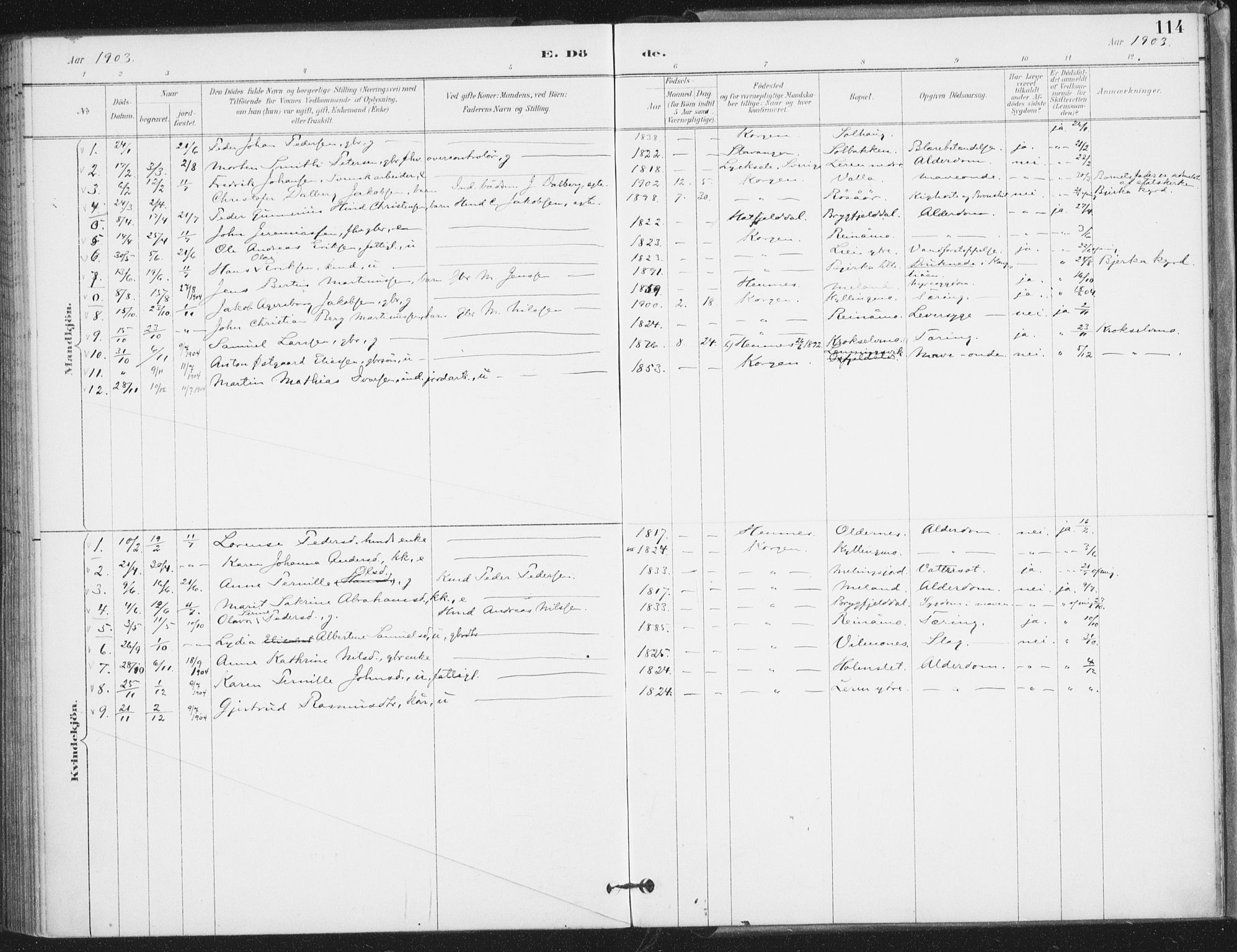 Ministerialprotokoller, klokkerbøker og fødselsregistre - Nordland, SAT/A-1459/826/L0380: Ministerialbok nr. 826A03, 1891-1911, s. 114