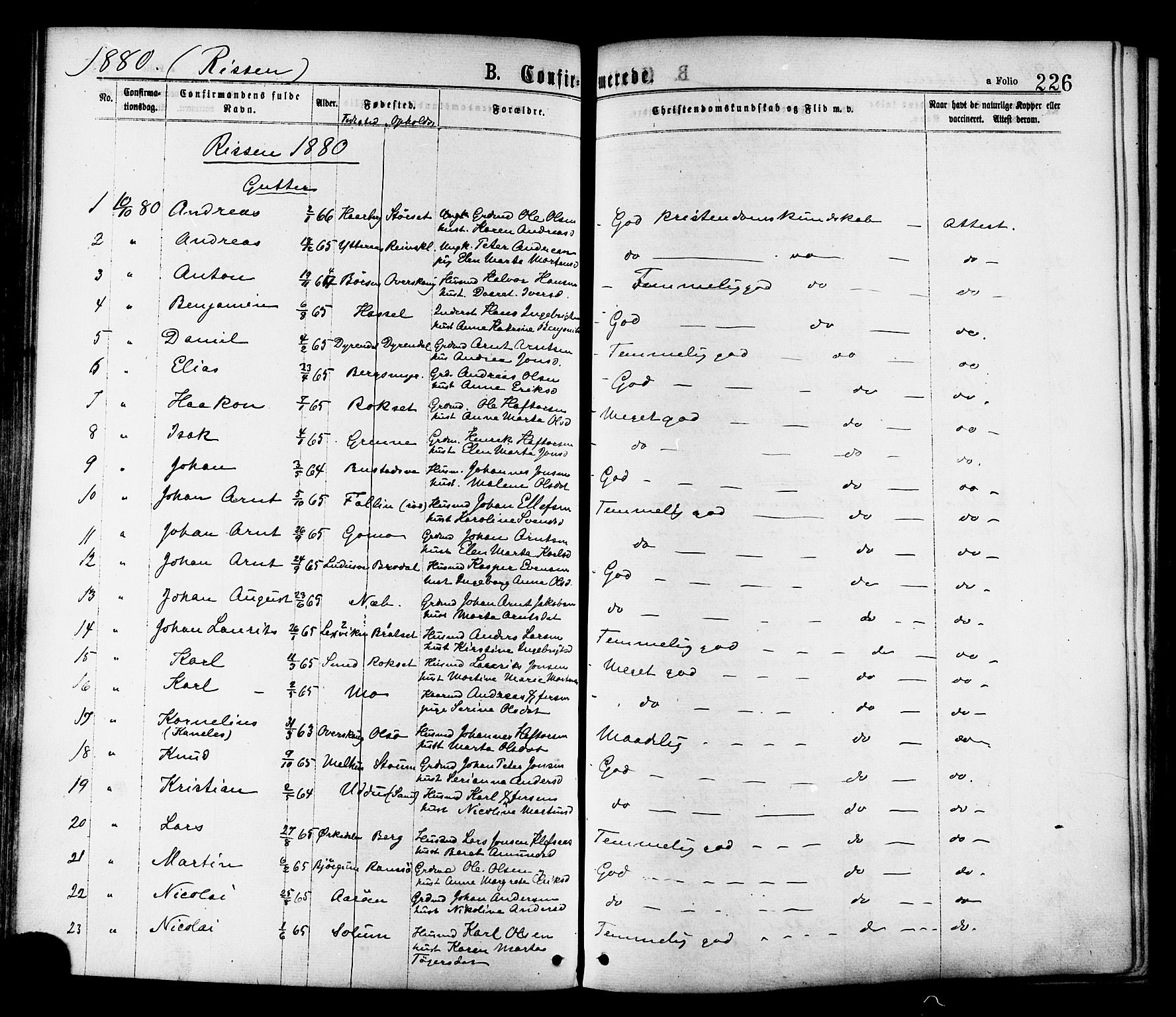 Ministerialprotokoller, klokkerbøker og fødselsregistre - Sør-Trøndelag, SAT/A-1456/646/L0613: Ministerialbok nr. 646A11, 1870-1884, s. 226