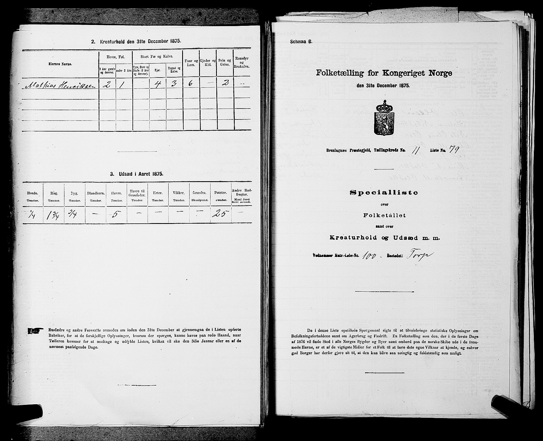 SAKO, Folketelling 1875 for 0726P Brunlanes prestegjeld, 1875, s. 1549