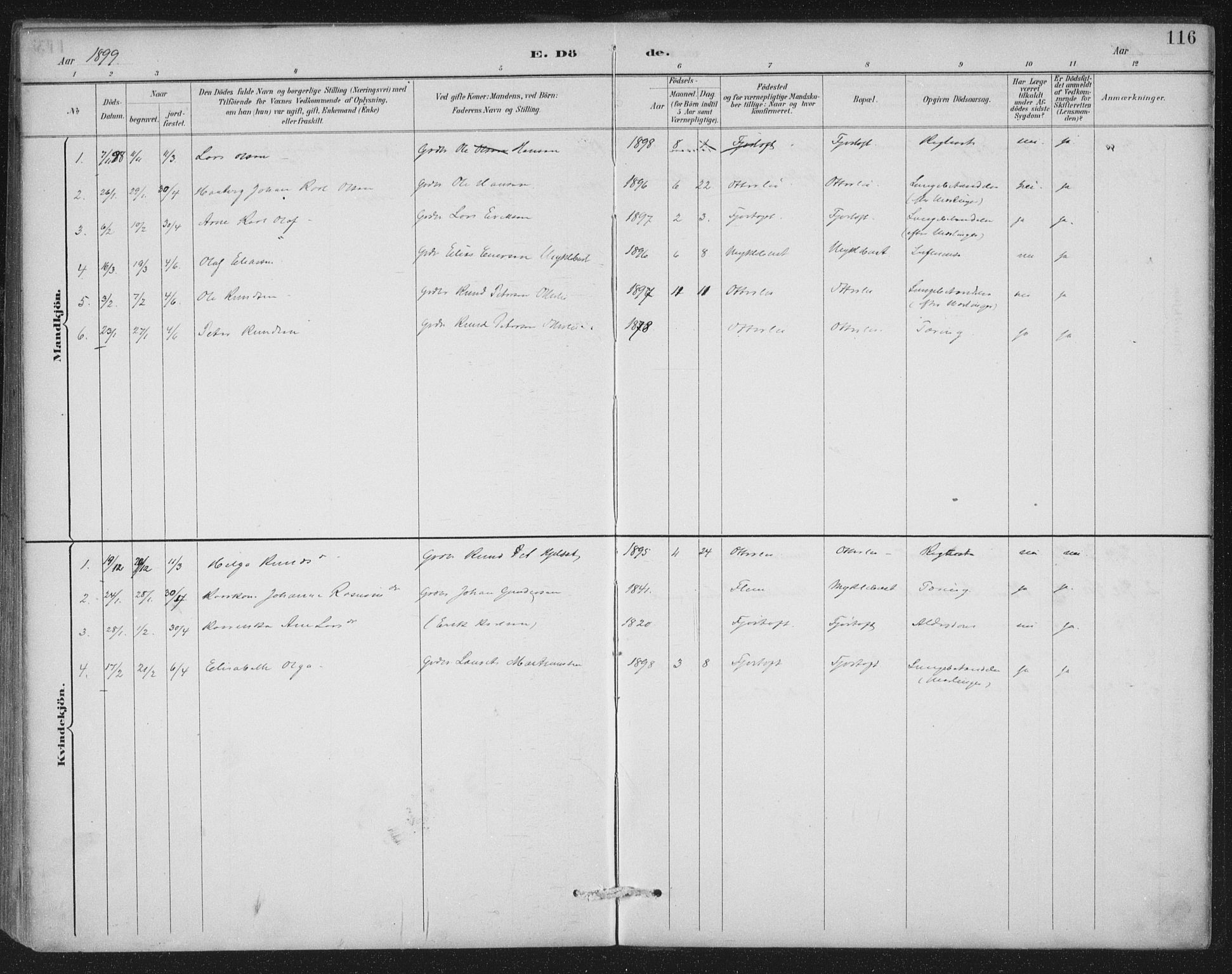 Ministerialprotokoller, klokkerbøker og fødselsregistre - Møre og Romsdal, AV/SAT-A-1454/538/L0522: Ministerialbok nr. 538A01, 1884-1913, s. 116