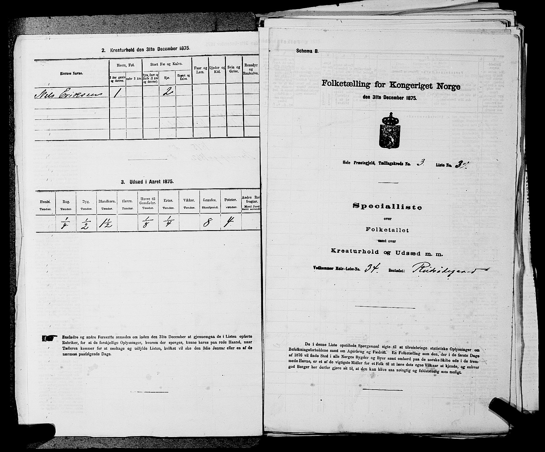 SAKO, Folketelling 1875 for 0612P Hole prestegjeld, 1875, s. 455