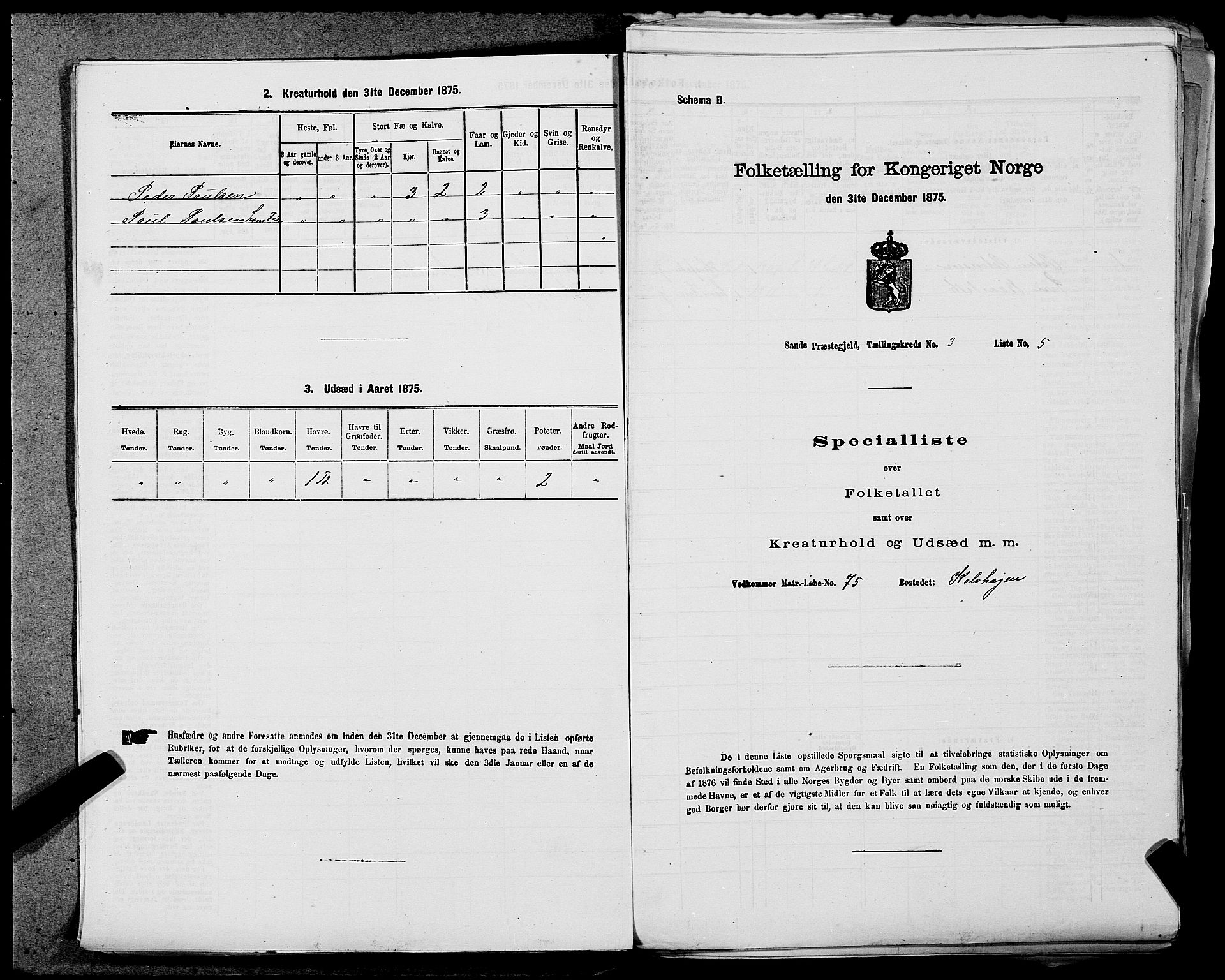 SAST, Folketelling 1875 for 1136P Sand prestegjeld, 1875, s. 1017