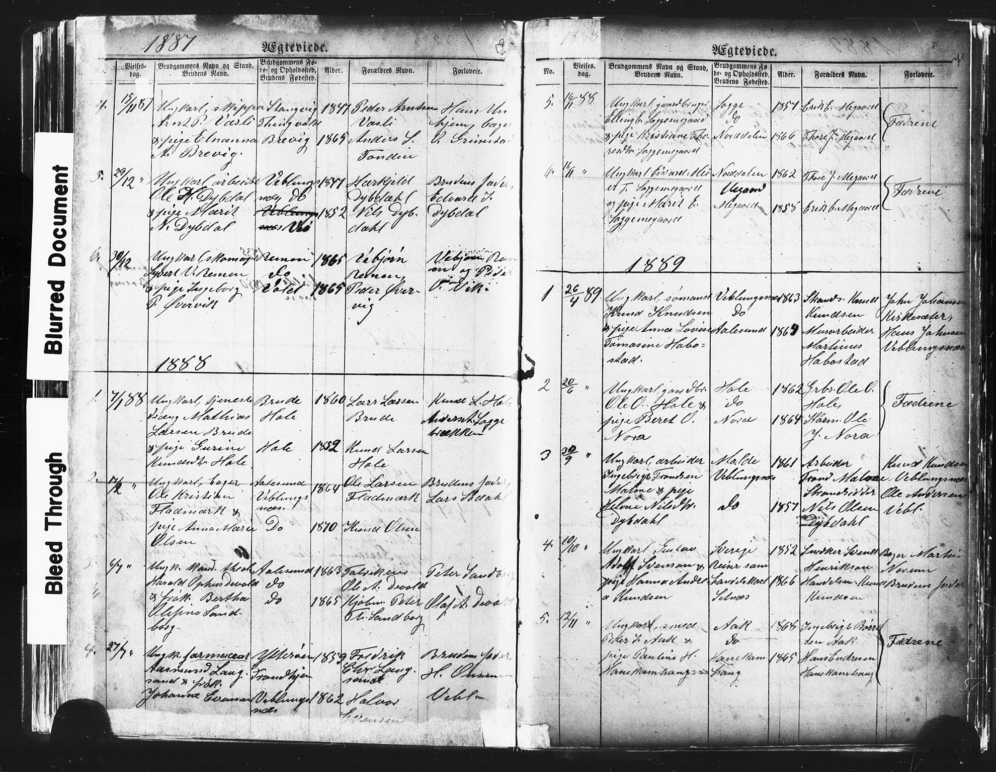Ministerialprotokoller, klokkerbøker og fødselsregistre - Møre og Romsdal, AV/SAT-A-1454/544/L0580: Klokkerbok nr. 544C02, 1867-1909, s. 202