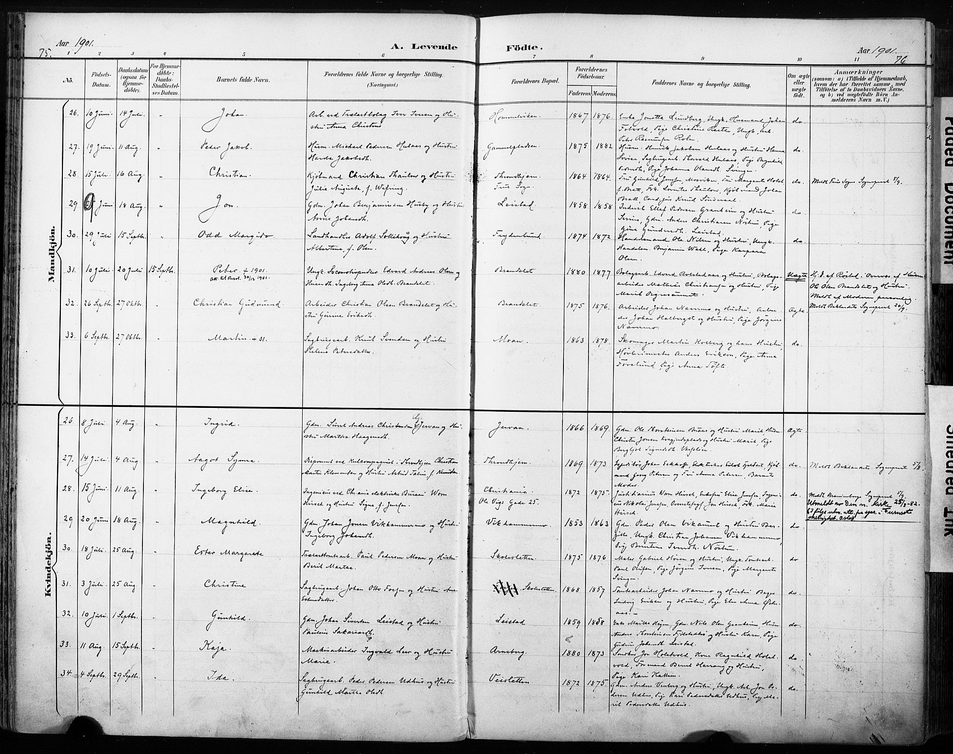 Ministerialprotokoller, klokkerbøker og fødselsregistre - Sør-Trøndelag, AV/SAT-A-1456/616/L0411: Ministerialbok nr. 616A08, 1894-1906, s. 75-76