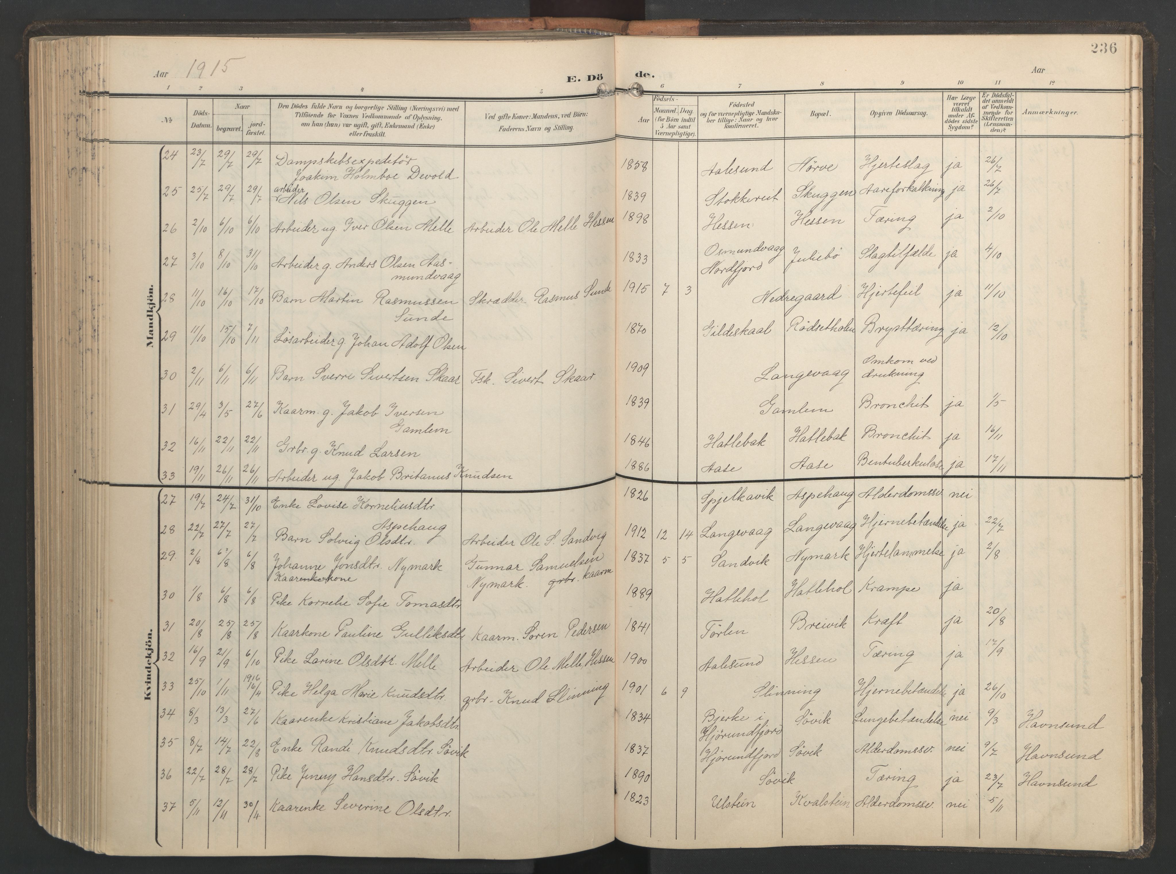 Ministerialprotokoller, klokkerbøker og fødselsregistre - Møre og Romsdal, AV/SAT-A-1454/528/L0433: Klokkerbok nr. 528C14, 1899-1922, s. 236