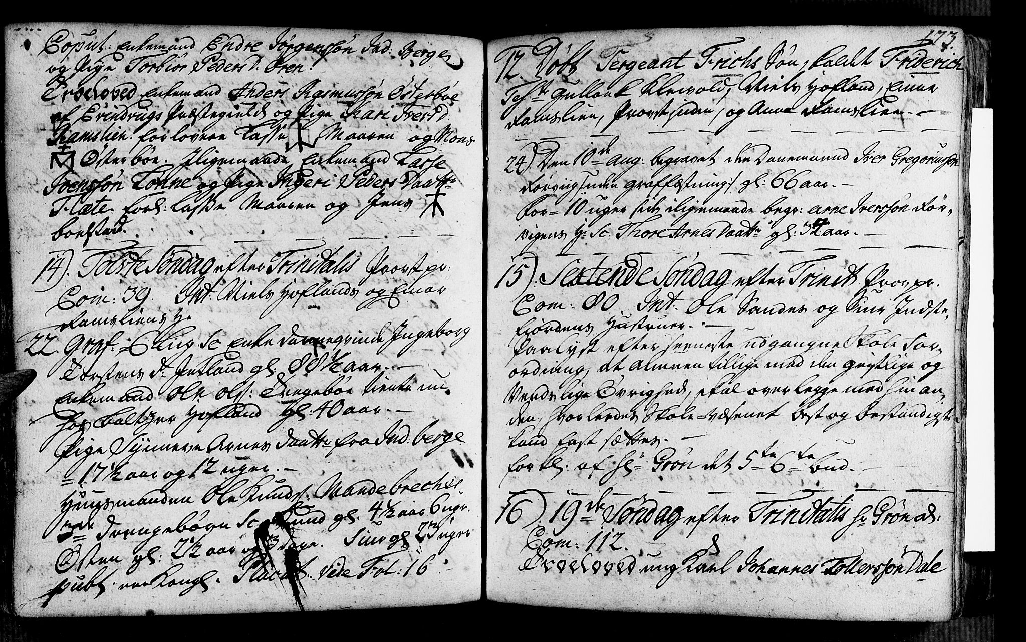 Vik sokneprestembete, SAB/A-81501: Ministerialbok nr. A 2 /3, 1740-1755, s. 173