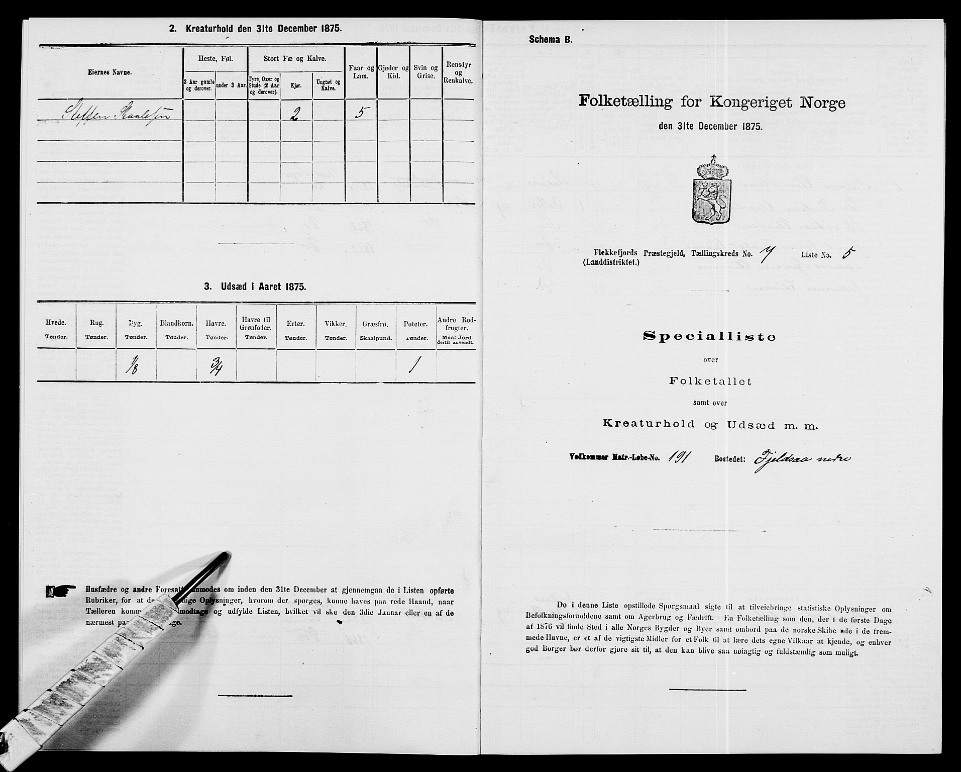 SAK, Folketelling 1875 for 1042L Flekkefjord prestegjeld, Nes sokn og Hidra sokn, 1875, s. 871