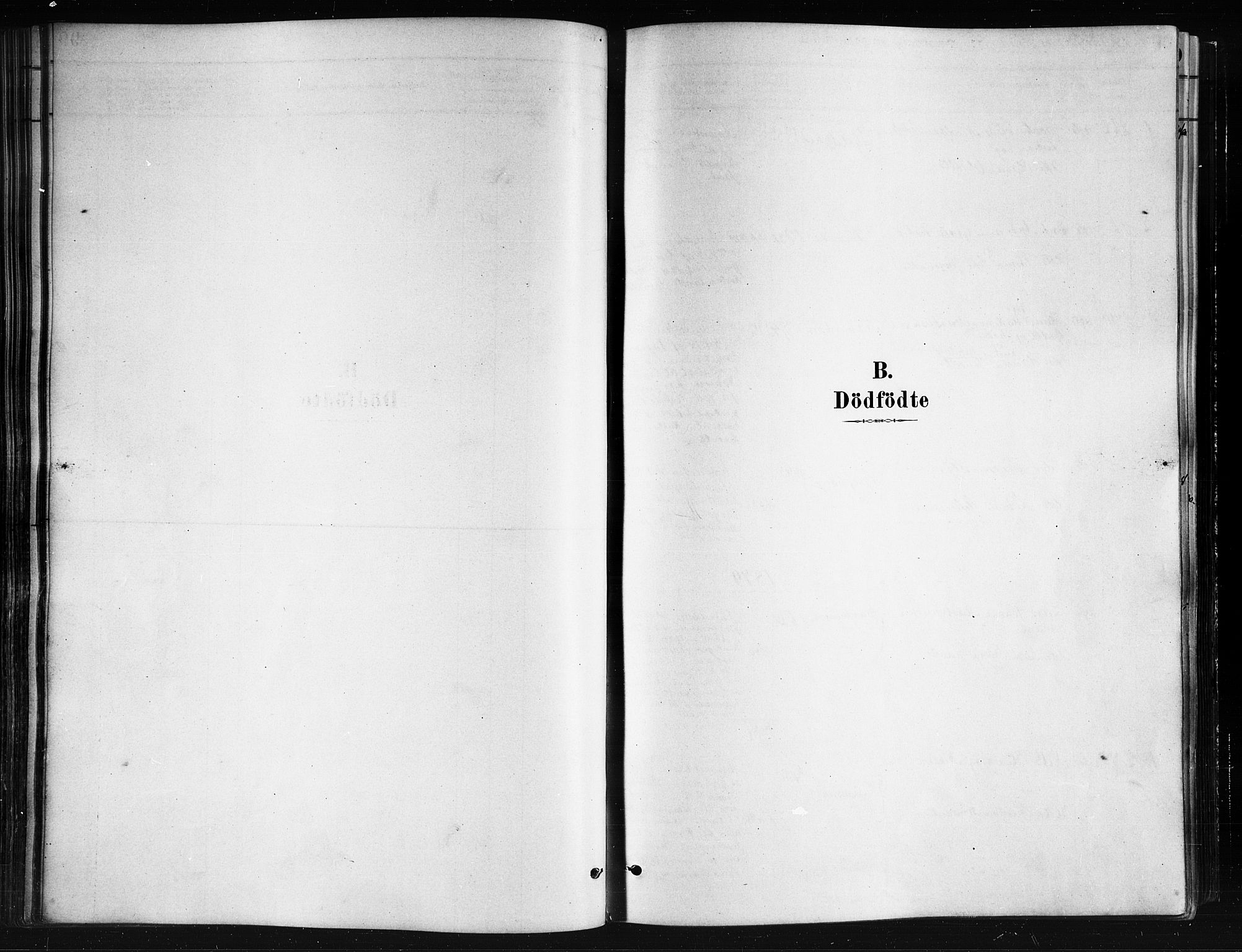 Ministerialprotokoller, klokkerbøker og fødselsregistre - Nordland, AV/SAT-A-1459/893/L1335: Ministerialbok nr. 893A08 /1, 1878-1884
