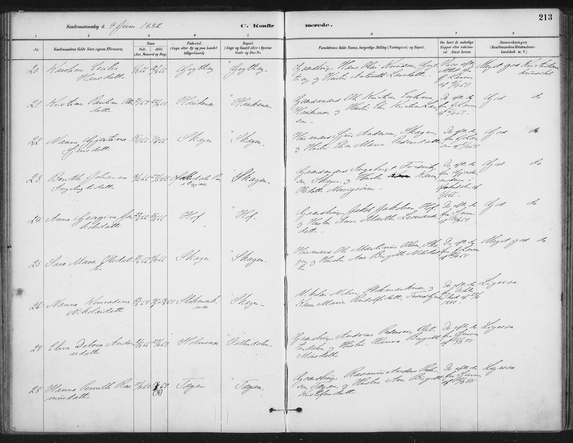 Ministerialprotokoller, klokkerbøker og fødselsregistre - Nordland, SAT/A-1459/888/L1244: Ministerialbok nr. 888A10, 1880-1890, s. 213