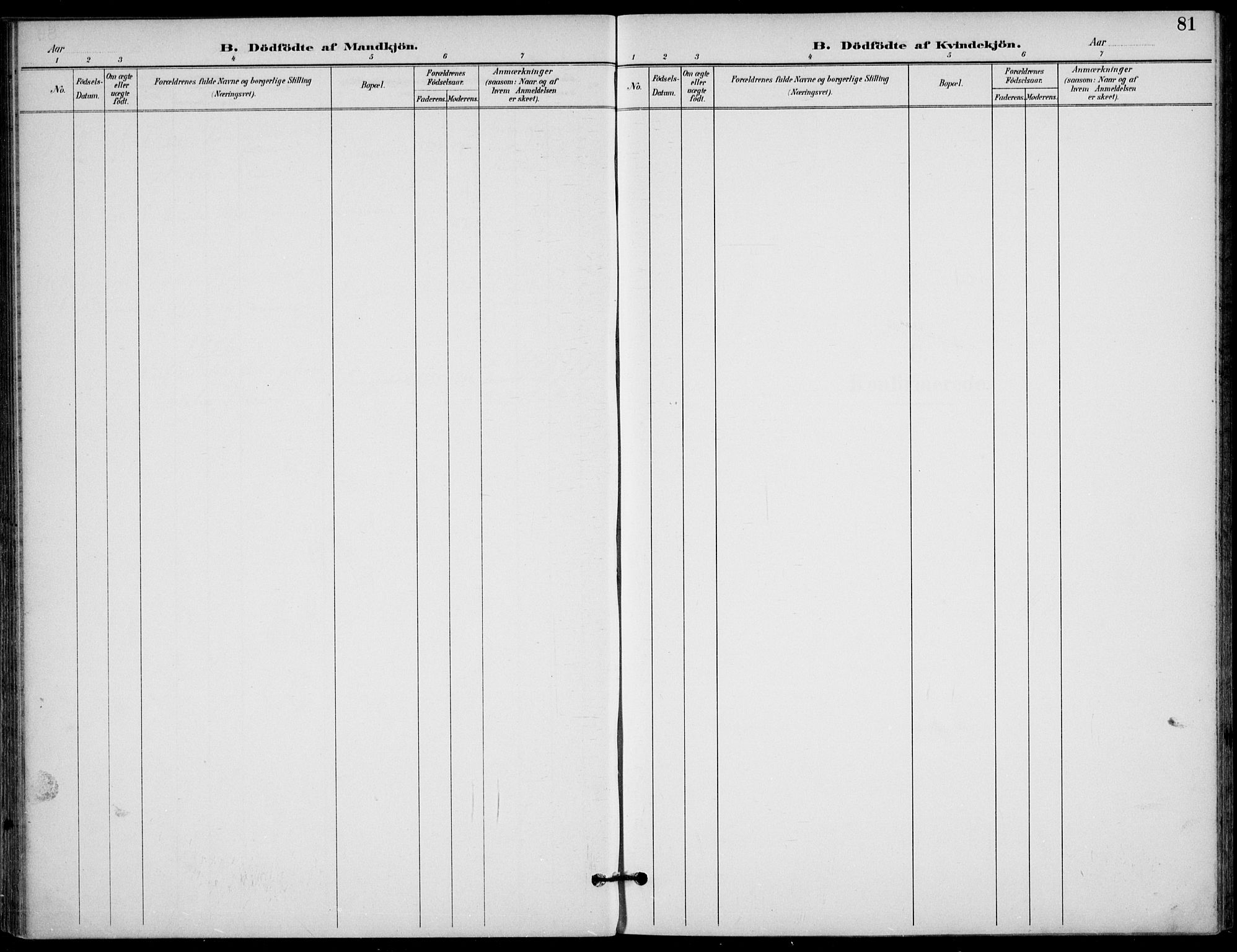 Langesund kirkebøker, AV/SAKO-A-280/F/Fa/L0003: Ministerialbok nr. 3, 1893-1907, s. 81