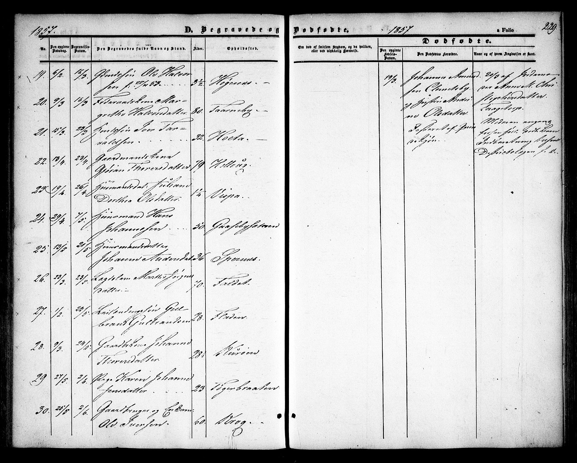 Rødenes prestekontor Kirkebøker, AV/SAO-A-2005/F/Fa/L0006: Ministerialbok nr. I 6, 1850-1859, s. 229