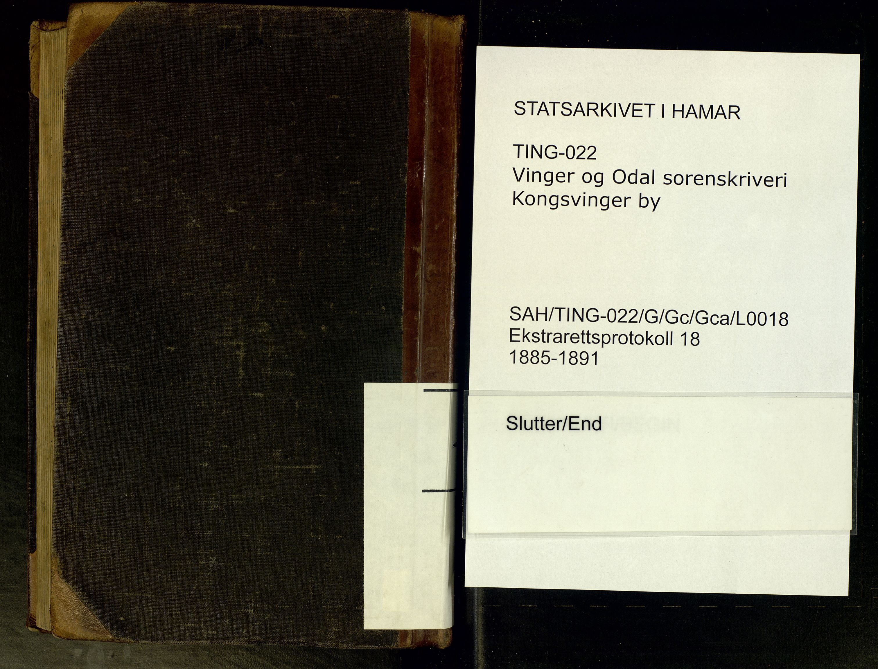 Vinger og Odal sorenskriveri, AV/SAH-TING-022/G/Gc/Gca/L0018: Ekstrarettsprotokoll - Kongsvinger, 1885-1891