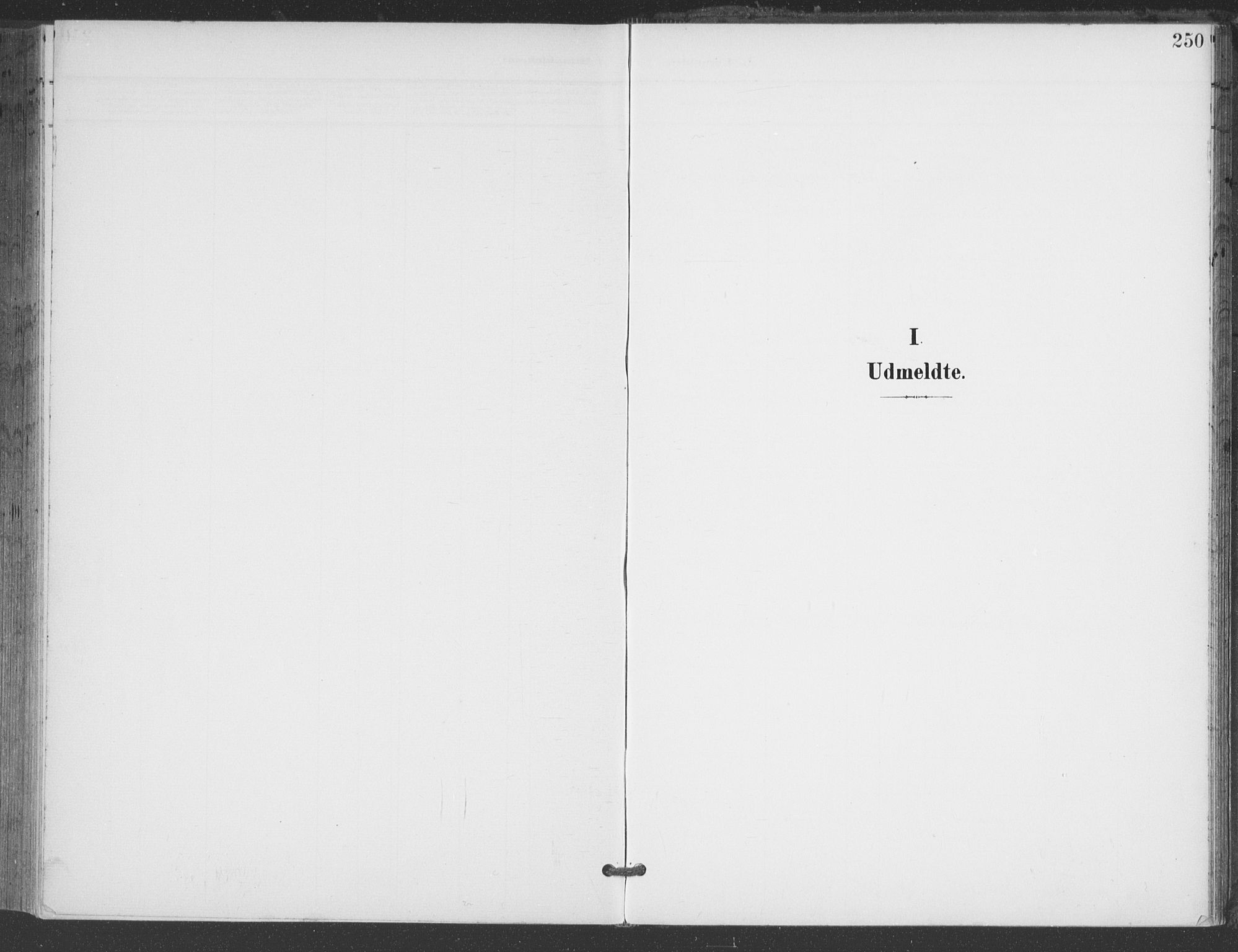 Åmli sokneprestkontor, SAK/1111-0050/F/Fa/Fac/L0012: Ministerialbok nr. A 12, 1900-1914, s. 250