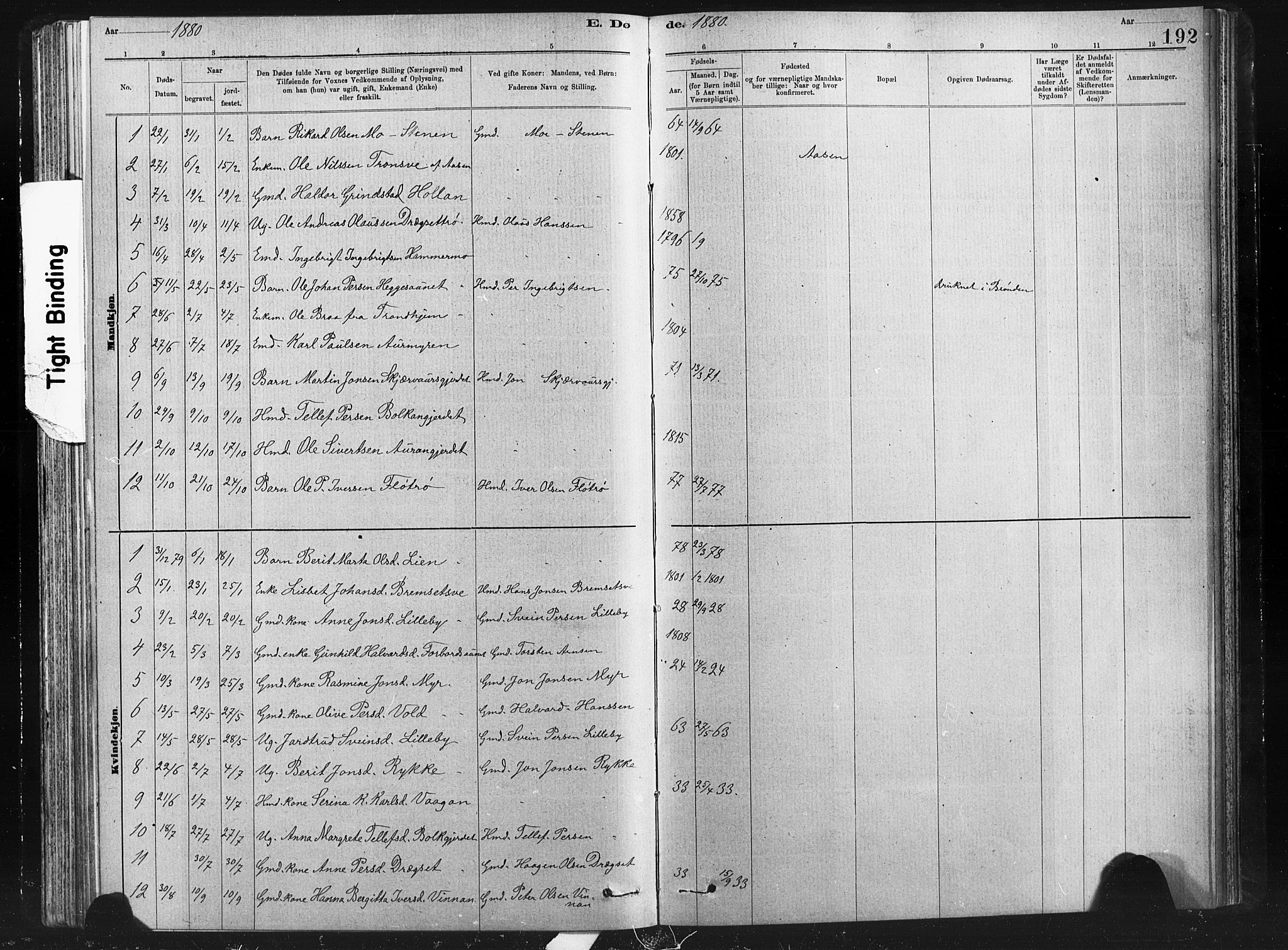 Ministerialprotokoller, klokkerbøker og fødselsregistre - Nord-Trøndelag, SAT/A-1458/712/L0103: Klokkerbok nr. 712C01, 1878-1917, s. 192