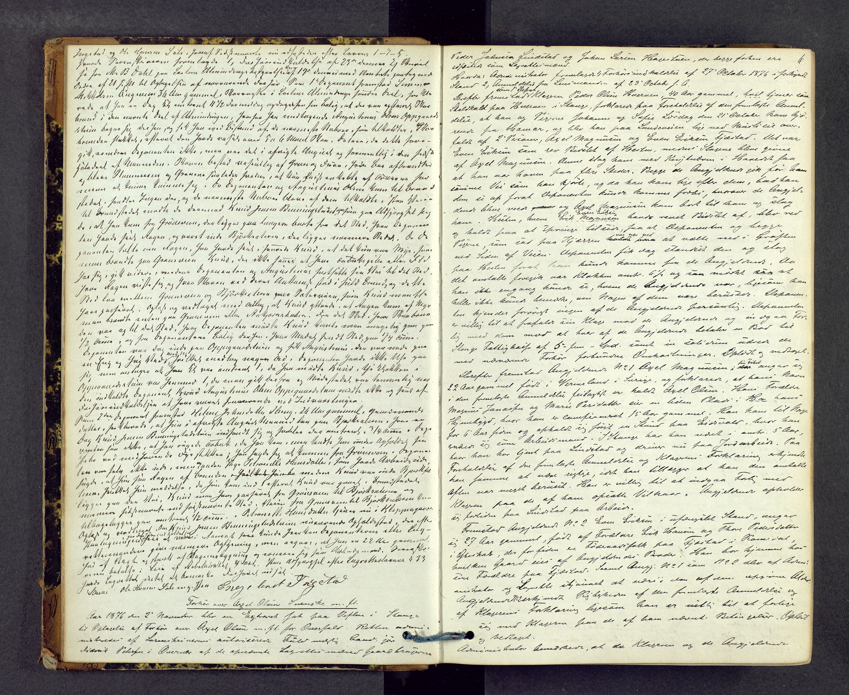 Sør-Hedmark sorenskriveri, AV/SAH-TING-014/G/Gc/Gca/L0012: Ekstrarettsprotokoll, 1876-1880, s. 5b-6a