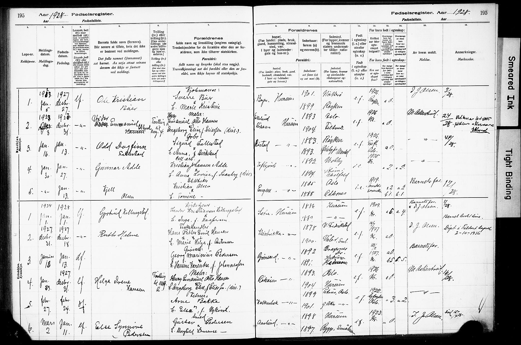 Hurum kirkebøker, SAKO/A-229/J/Ja/L0001: Fødselsregister nr. 1, 1916-1928, s. 195