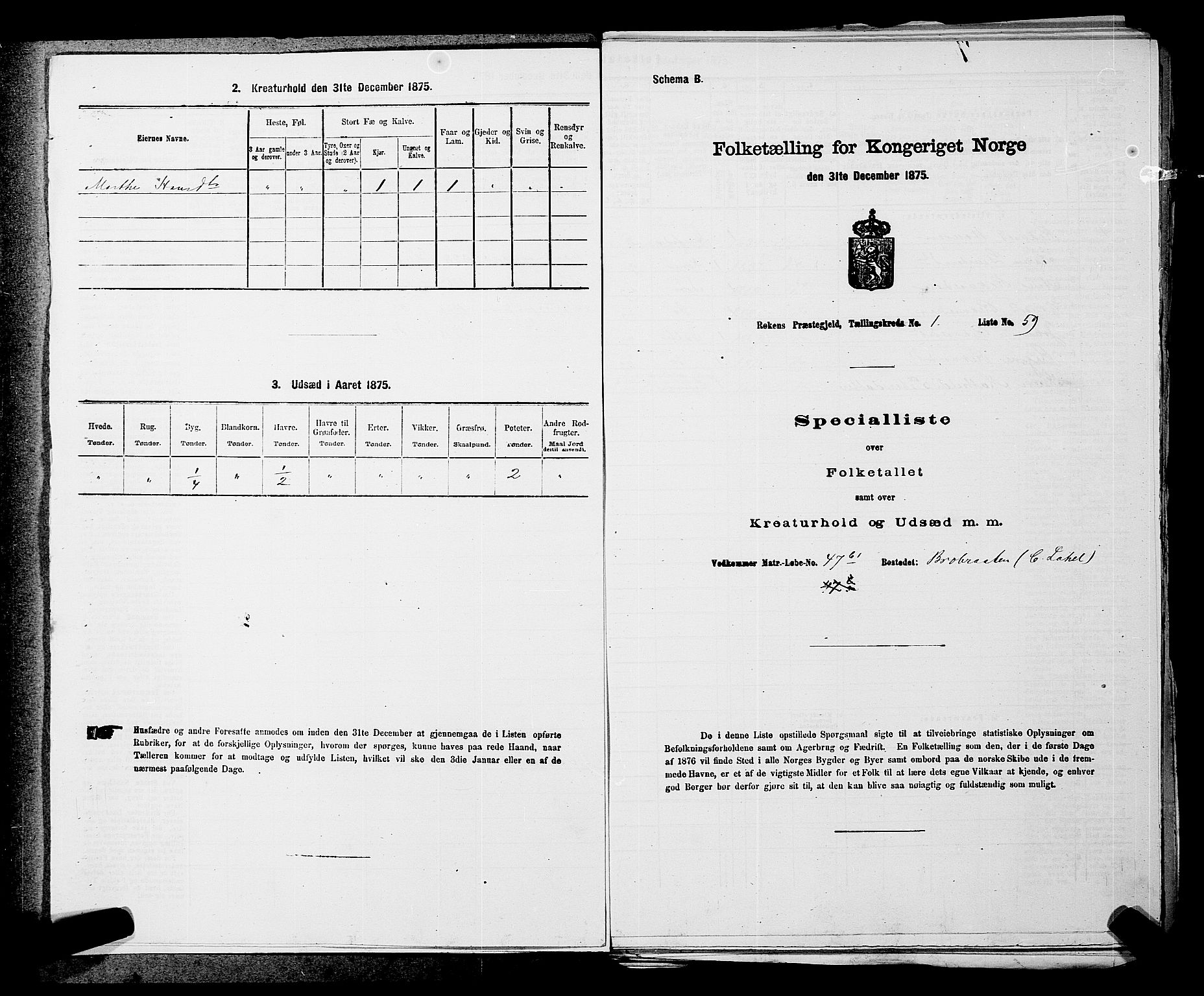 SAKO, Folketelling 1875 for 0627P Røyken prestegjeld, 1875, s. 39