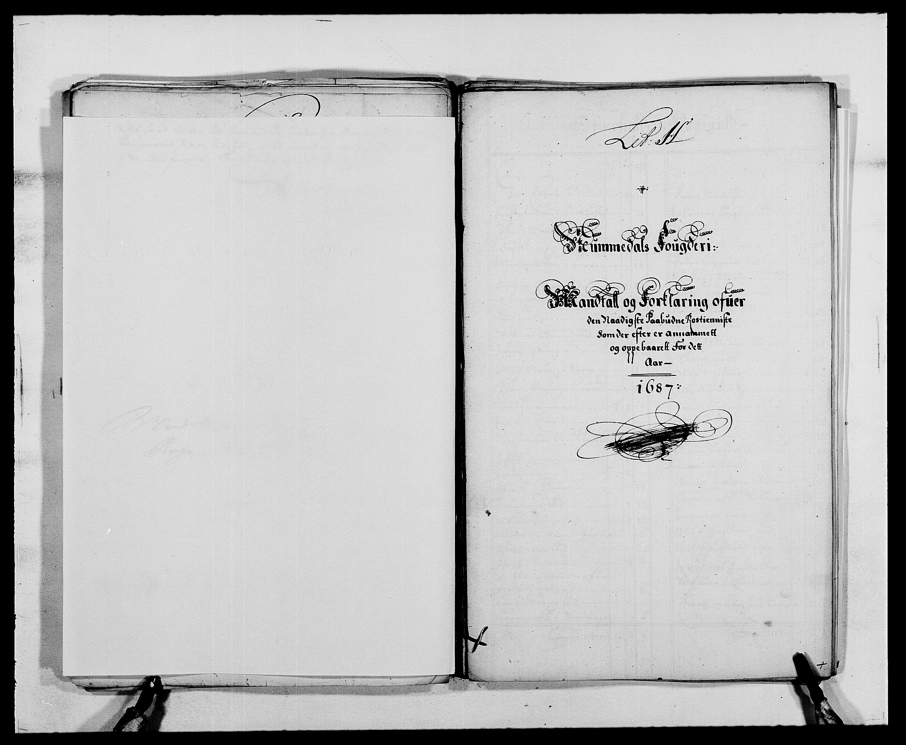 Rentekammeret inntil 1814, Reviderte regnskaper, Fogderegnskap, AV/RA-EA-4092/R64/L4422: Fogderegnskap Namdal, 1687-1689, s. 40