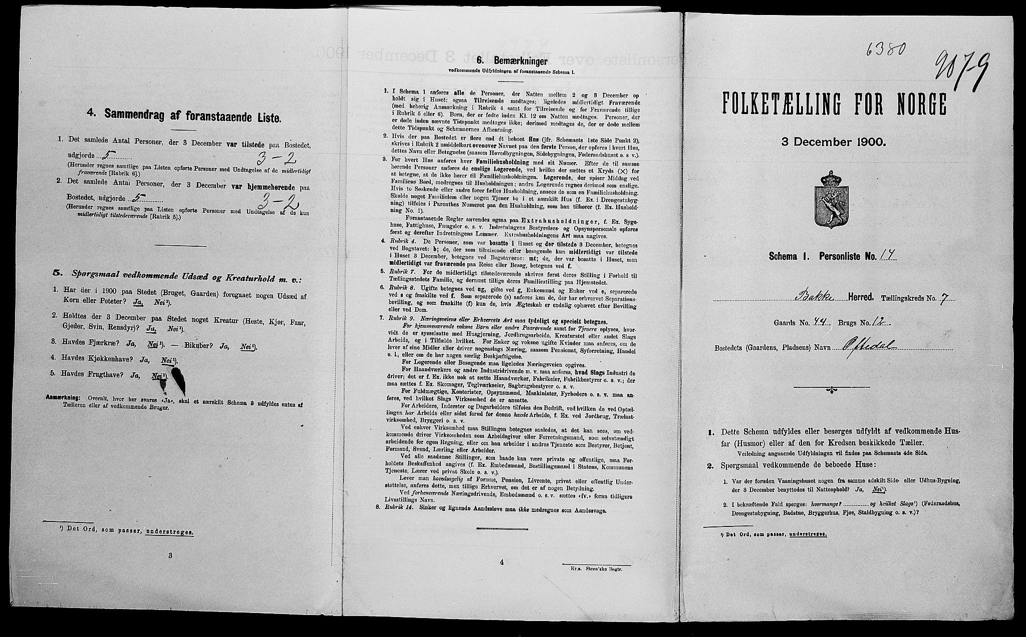 SAK, Folketelling 1900 for 1045 Bakke herred, 1900, s. 50