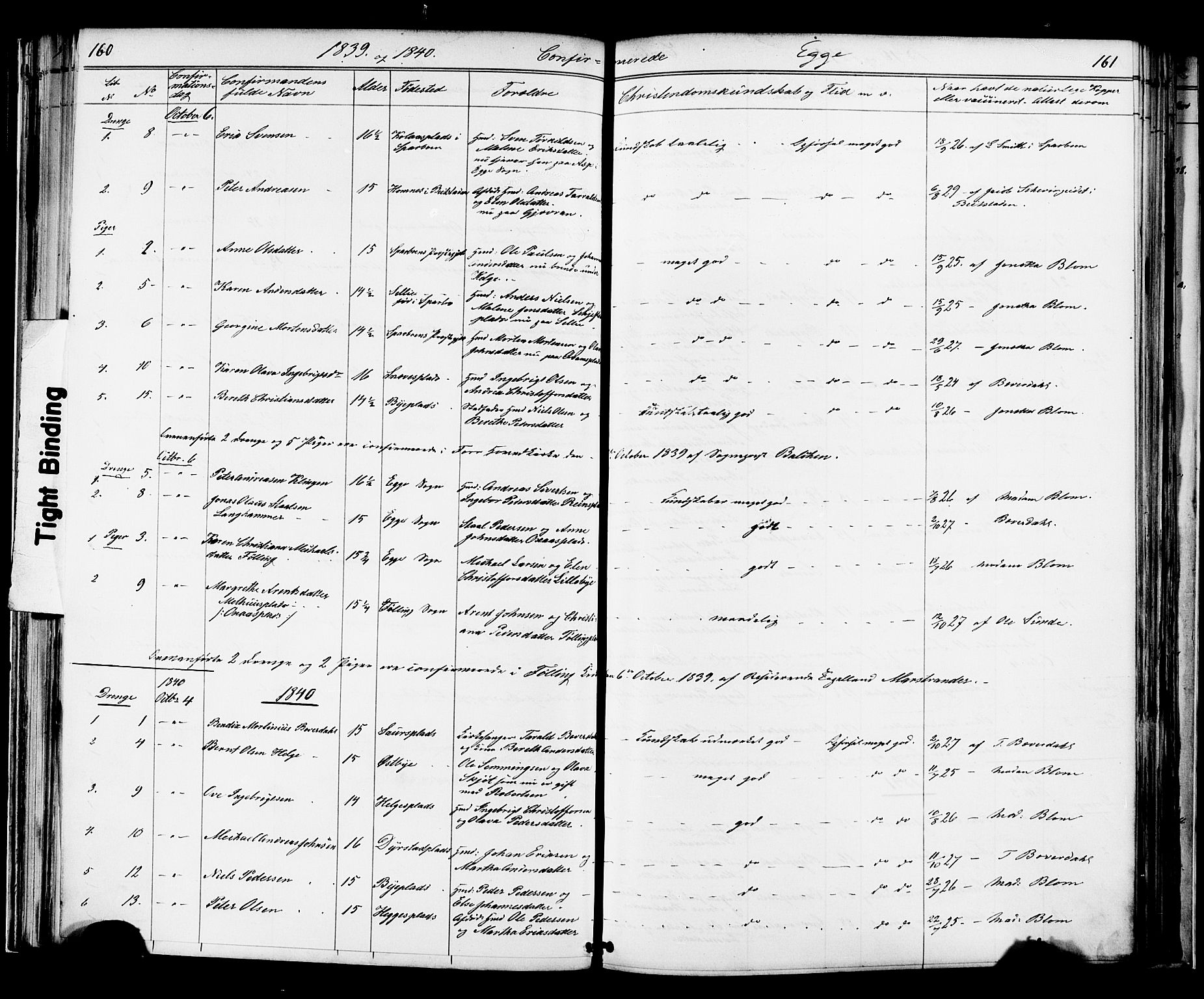 Ministerialprotokoller, klokkerbøker og fødselsregistre - Nord-Trøndelag, SAT/A-1458/739/L0367: Ministerialbok nr. 739A01 /3, 1838-1868, s. 160-161