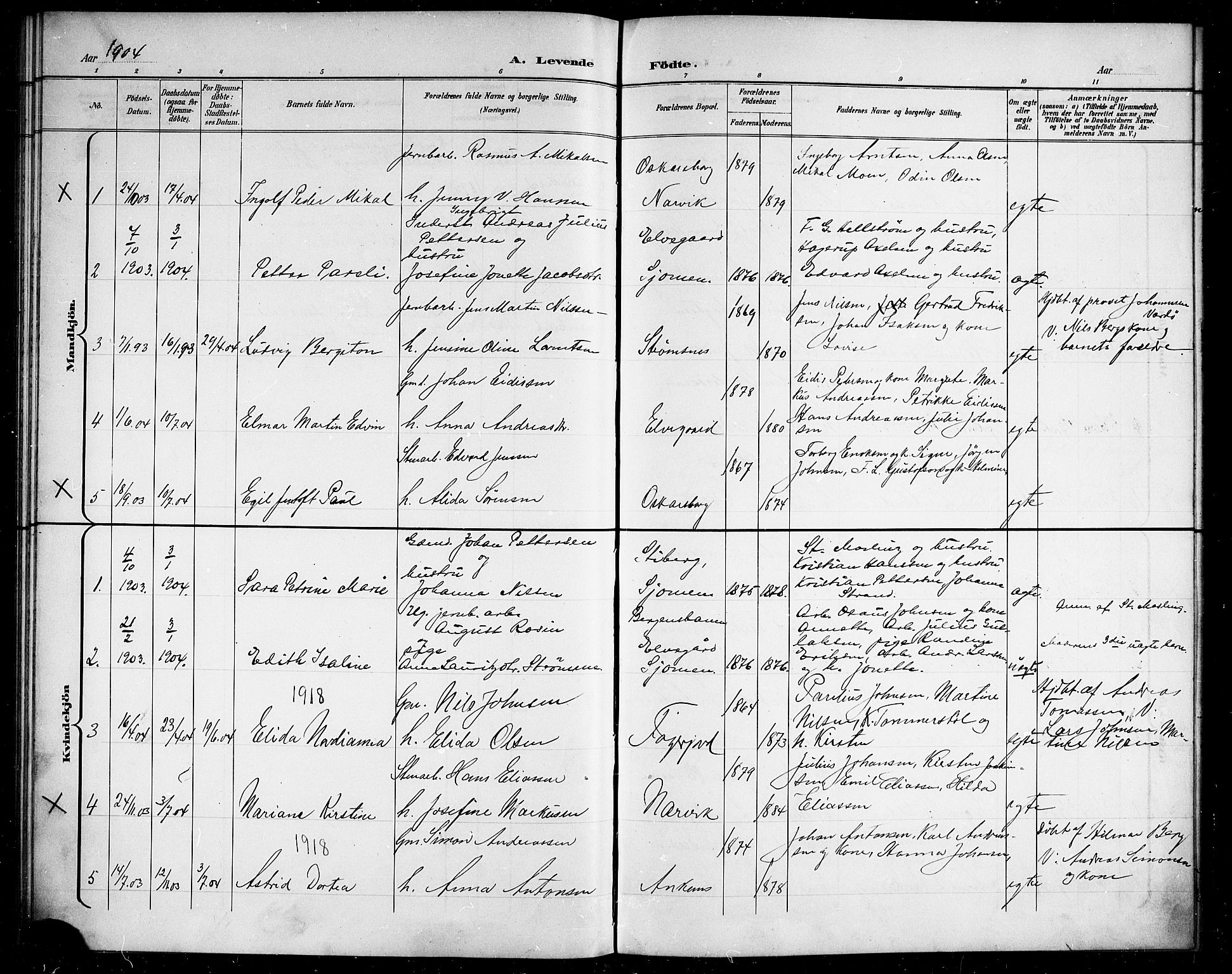 Ministerialprotokoller, klokkerbøker og fødselsregistre - Nordland, AV/SAT-A-1459/866/L0953: Klokkerbok nr. 866C02, 1900-1905