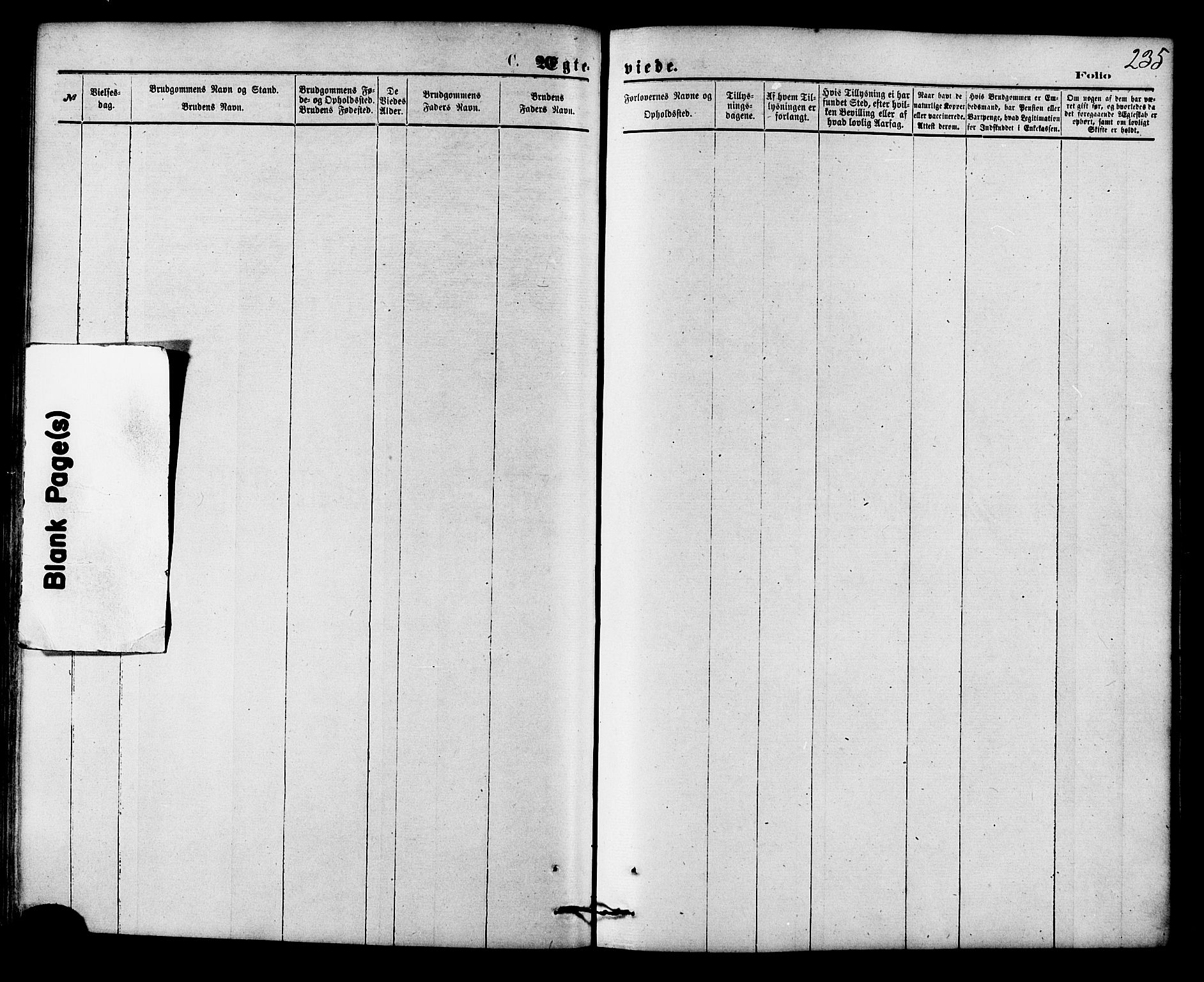 Ministerialprotokoller, klokkerbøker og fødselsregistre - Nordland, AV/SAT-A-1459/853/L0771: Ministerialbok nr. 853A10, 1870-1881, s. 235