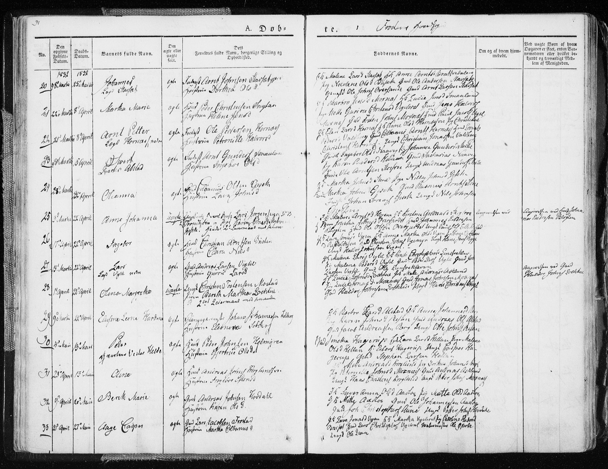 Ministerialprotokoller, klokkerbøker og fødselsregistre - Nord-Trøndelag, AV/SAT-A-1458/713/L0114: Ministerialbok nr. 713A05, 1827-1839, s. 31