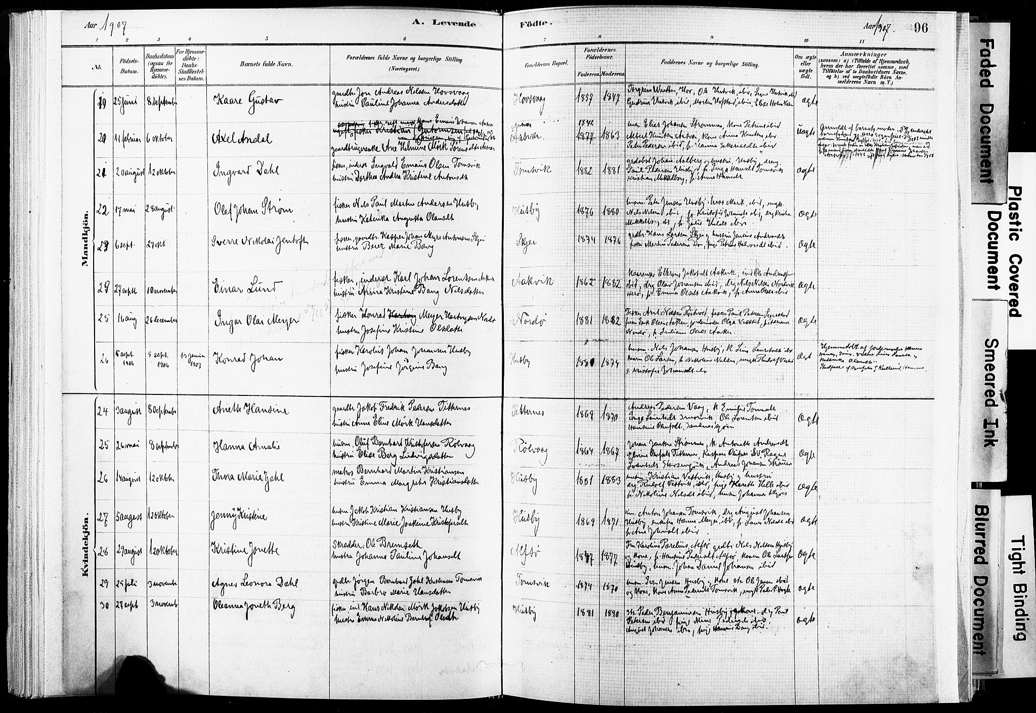 Ministerialprotokoller, klokkerbøker og fødselsregistre - Nordland, AV/SAT-A-1459/835/L0525: Ministerialbok nr. 835A03I, 1881-1910, s. 96