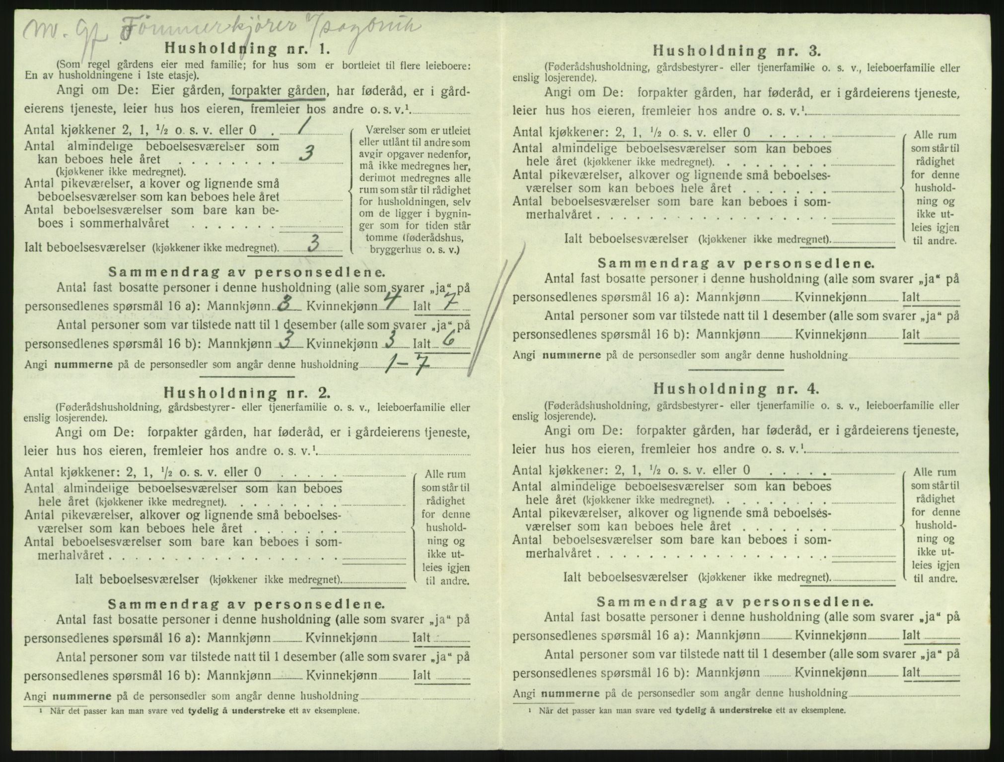 SAKO, Folketelling 1920 for 0727 Hedrum herred, 1920, s. 1260
