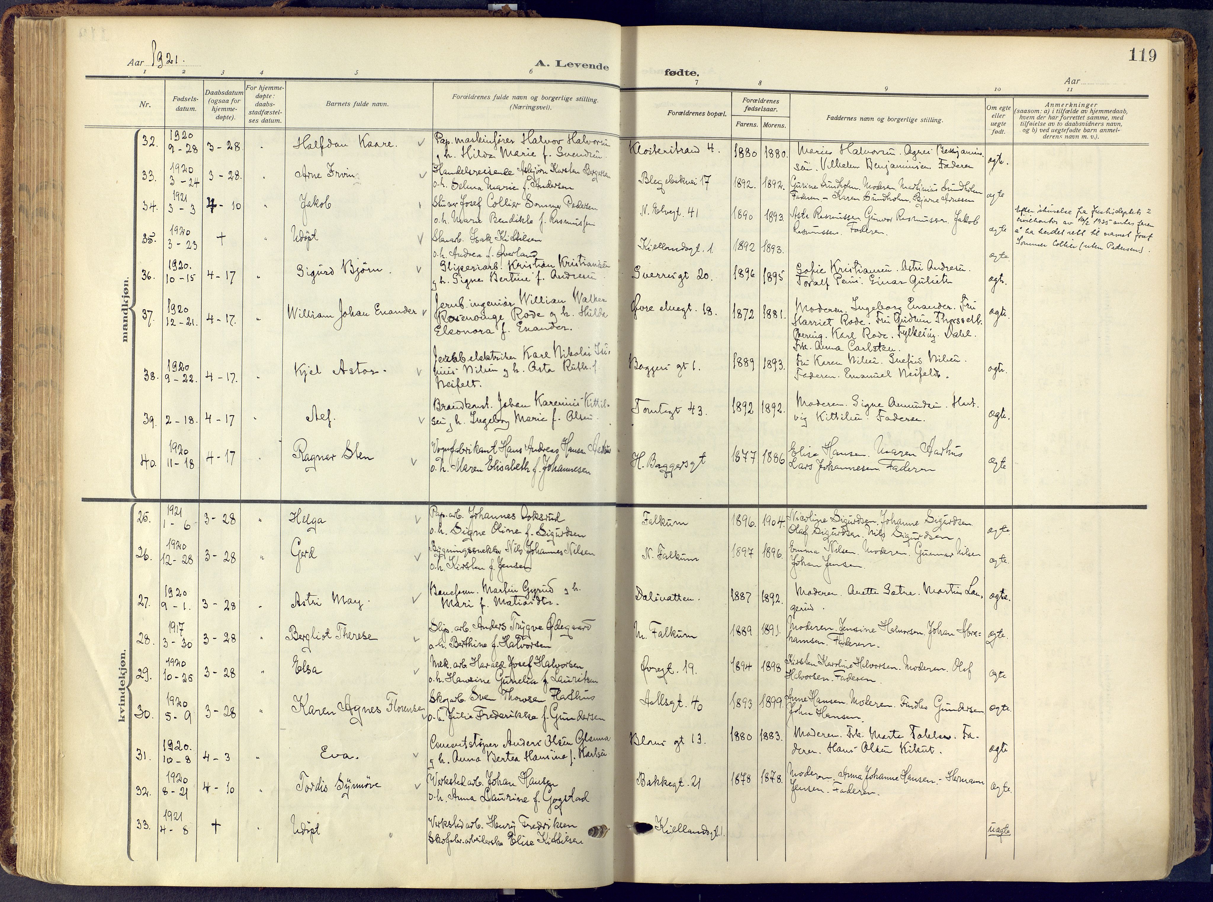 Skien kirkebøker, AV/SAKO-A-302/F/Fa/L0013: Ministerialbok nr. 13, 1915-1921, s. 119
