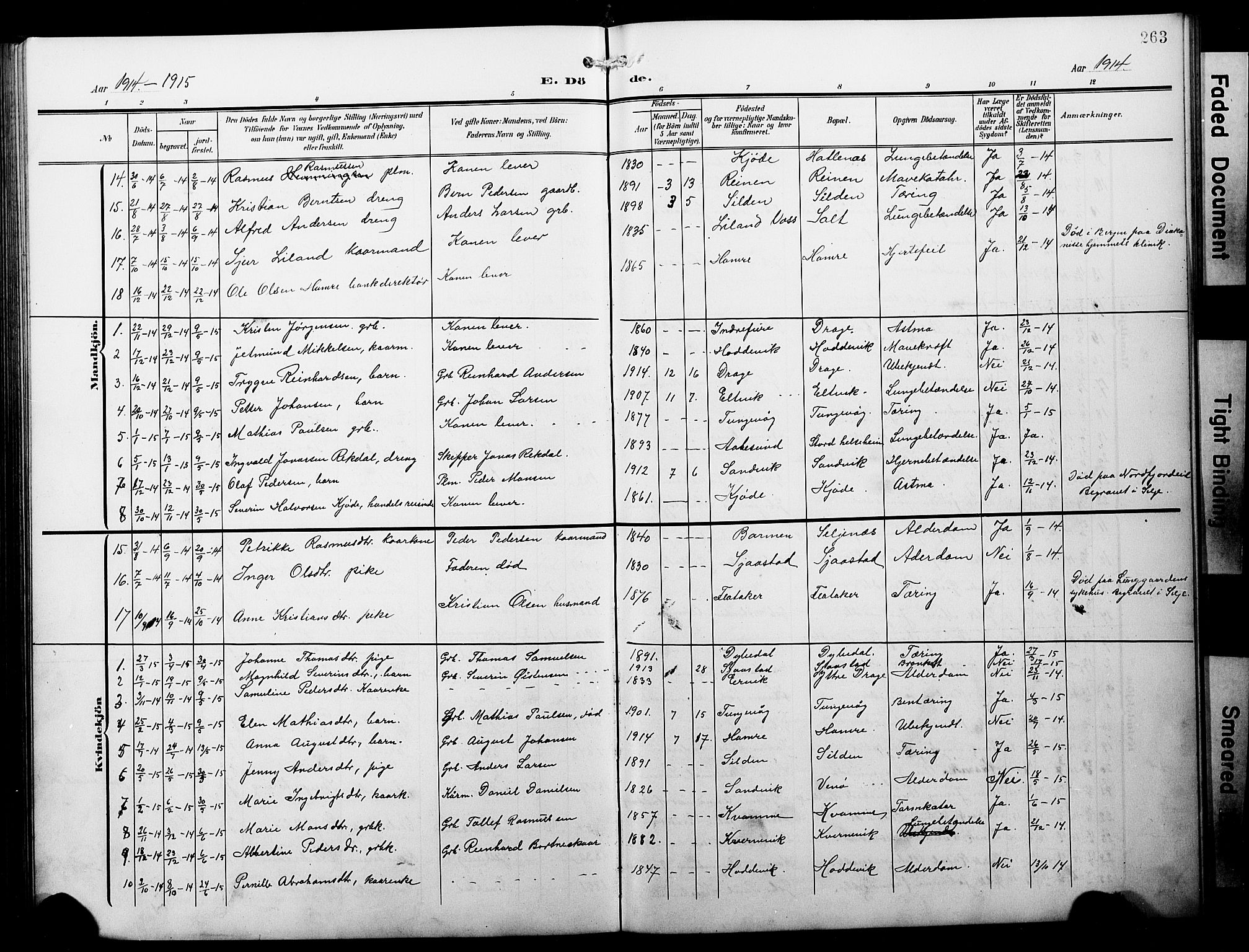 Selje sokneprestembete, AV/SAB-A-99938/H/Ha/Hab/Habb: Klokkerbok nr. B 1, 1905-1923, s. 263
