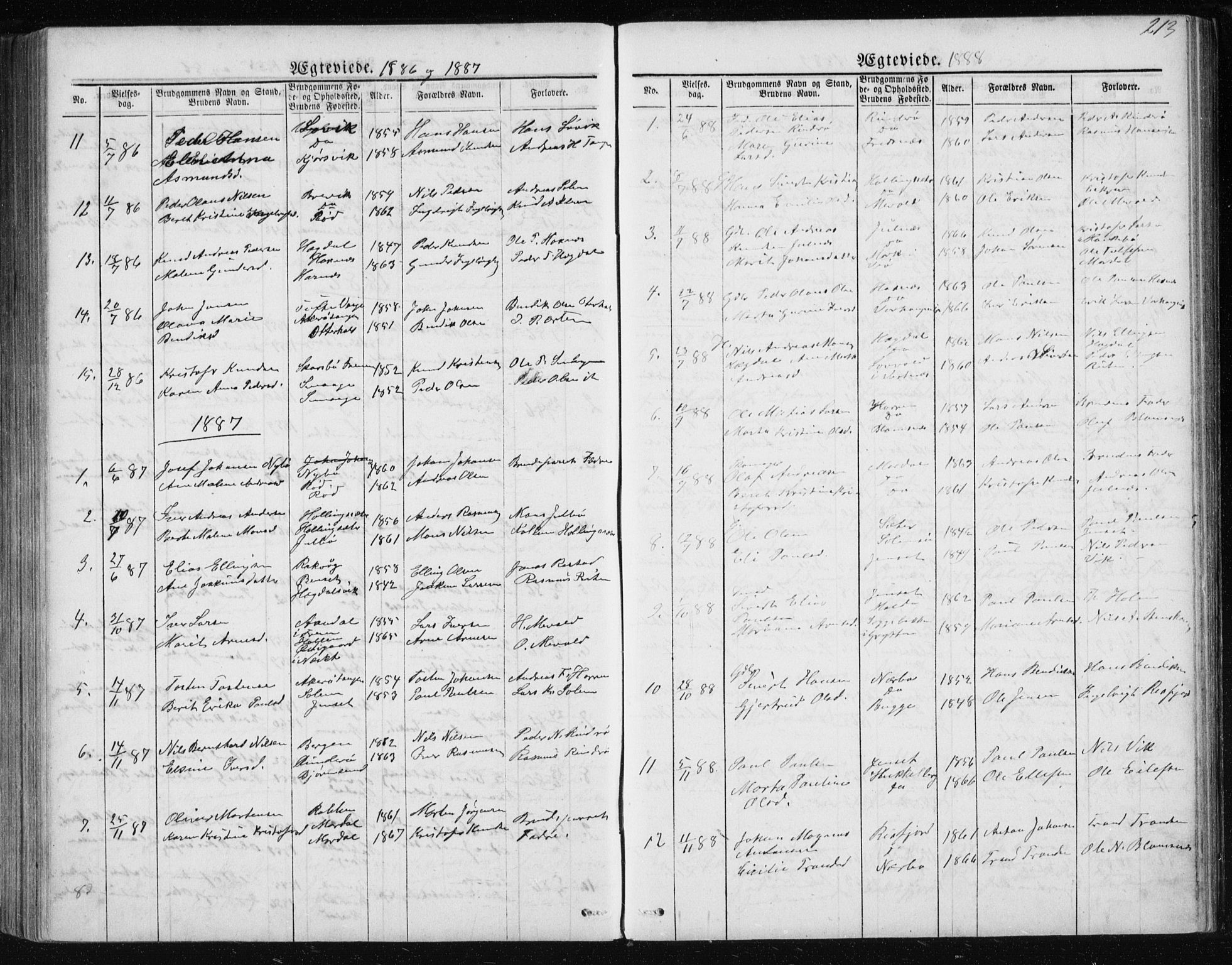 Ministerialprotokoller, klokkerbøker og fødselsregistre - Møre og Romsdal, SAT/A-1454/560/L0724: Klokkerbok nr. 560C01, 1867-1892, s. 213