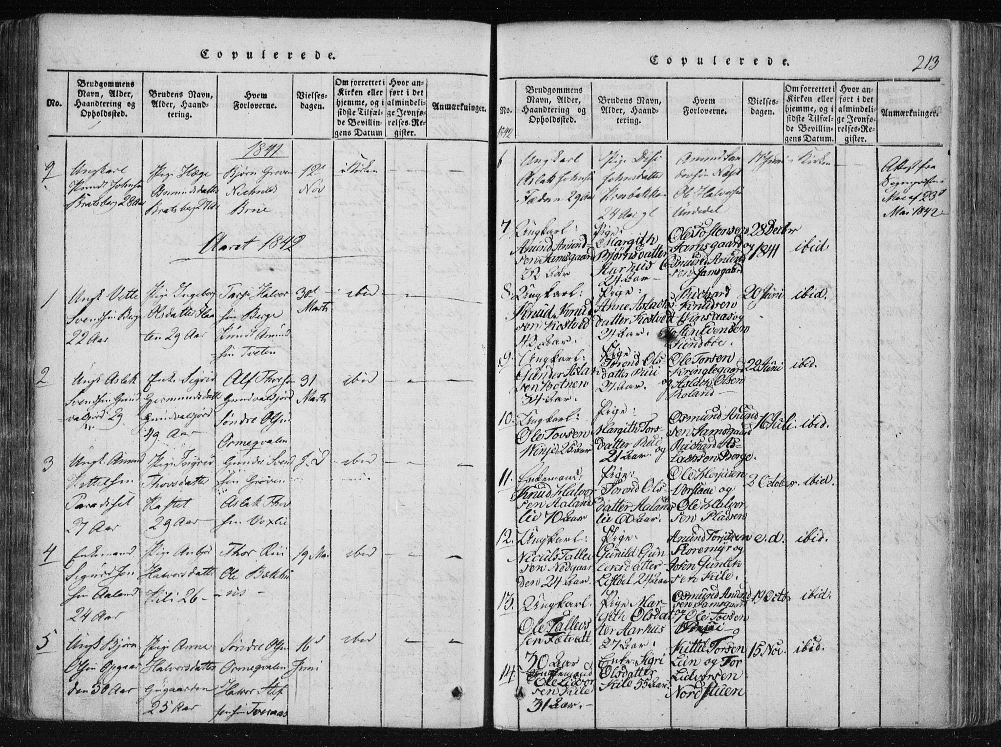 Vinje kirkebøker, AV/SAKO-A-312/F/Fa/L0003: Ministerialbok nr. I 3, 1814-1843, s. 213