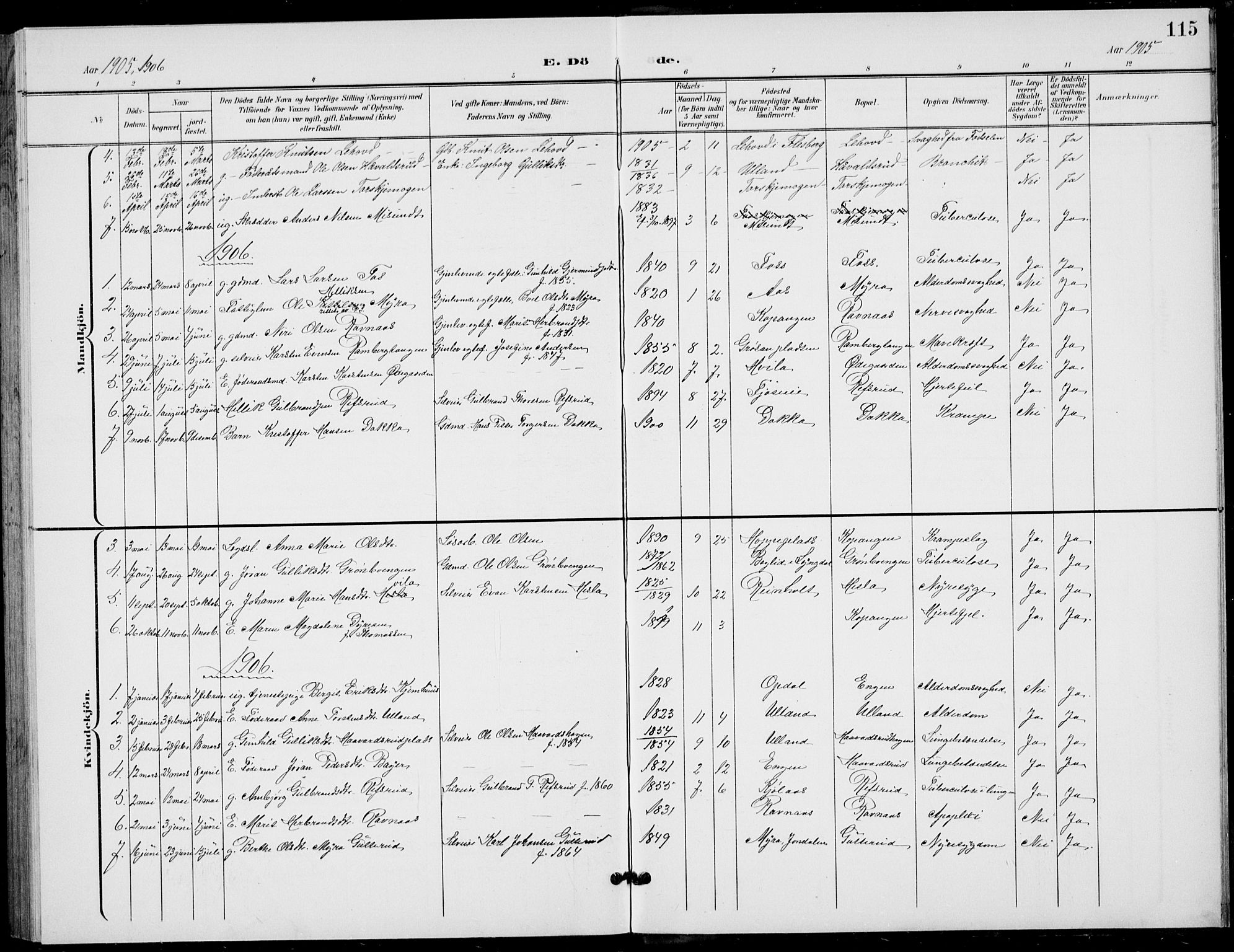 Flesberg kirkebøker, AV/SAKO-A-18/G/Ga/L0005: Klokkerbok nr. I 5, 1899-1908, s. 115