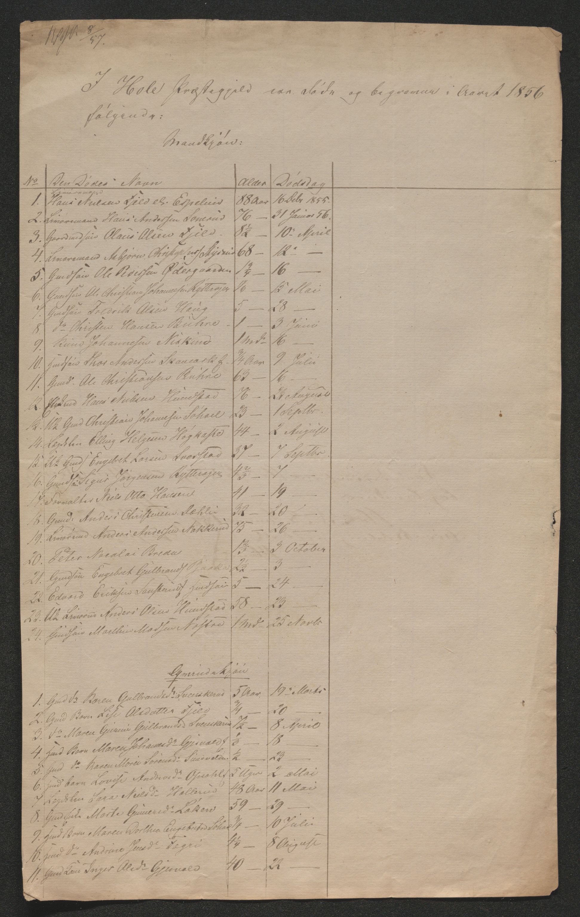 Ringerike sorenskriveri, AV/SAKO-A-105/H/Ha/Hab/L0018: Dødsfallslister Hole, 1838-1925