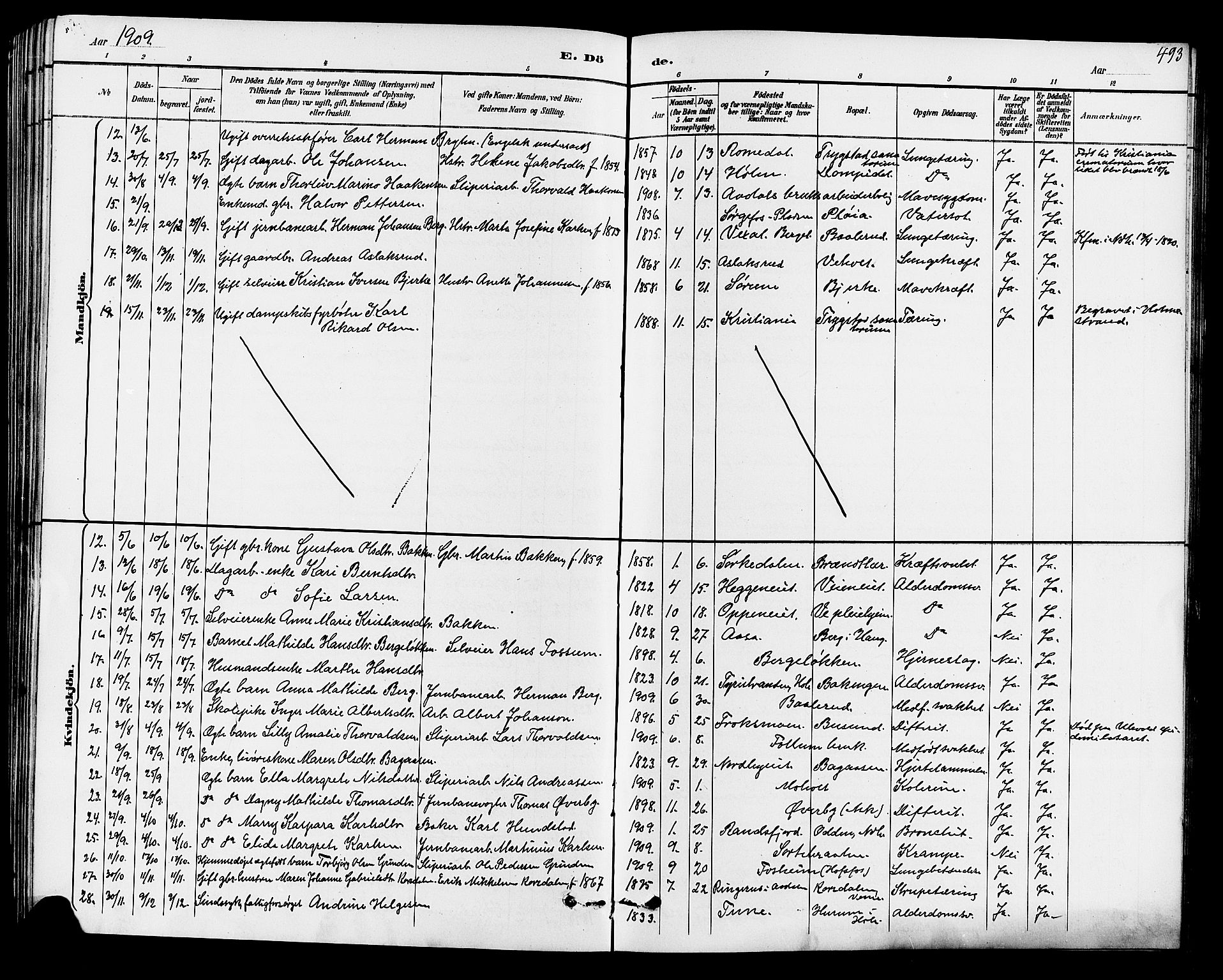 Norderhov kirkebøker, AV/SAKO-A-237/G/Ga/L0008: Klokkerbok nr. I 8, 1887-1912, s. 493