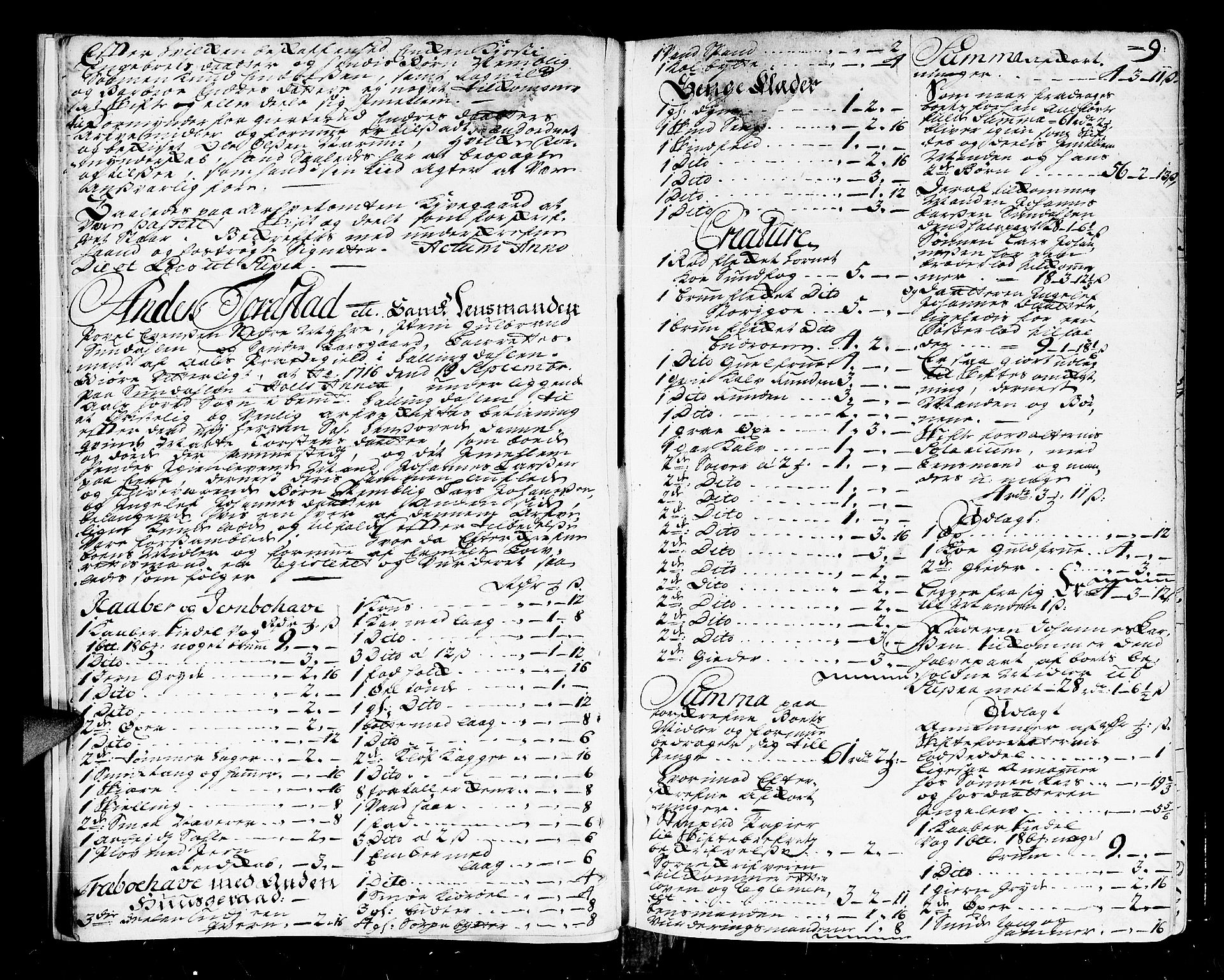 Ringerike og Hallingdal sorenskriveri, AV/SAKO-A-81/H/Ha/L0007: Skifteprotokoll, 1716-1721, s. 8b-9a