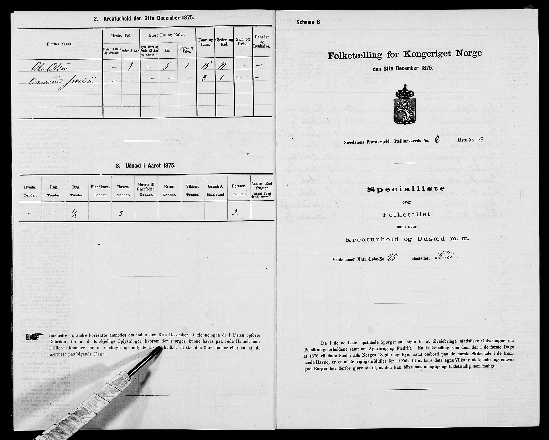 SAK, Folketelling 1875 for 1046P Sirdal prestegjeld, 1875, s. 142