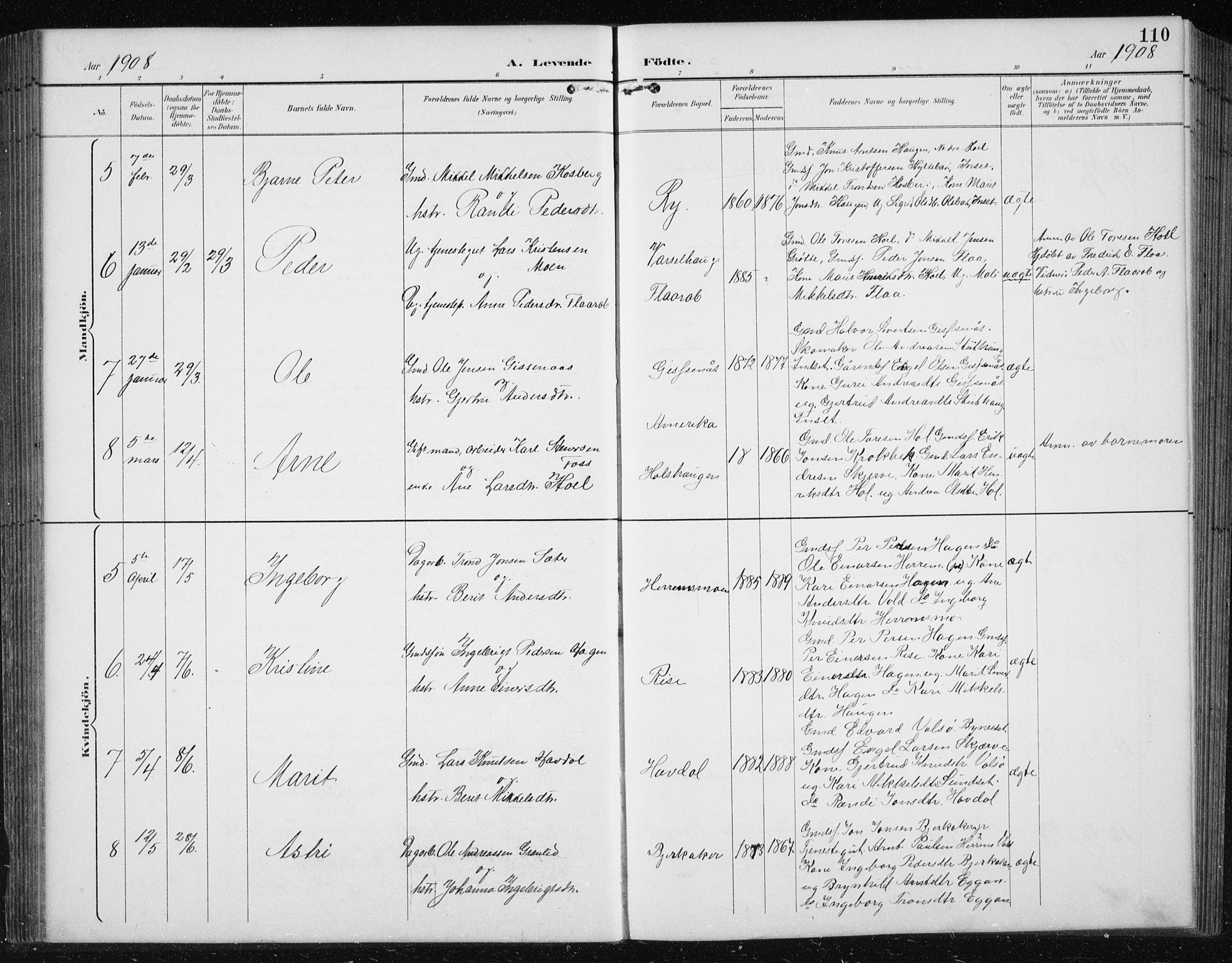 Ministerialprotokoller, klokkerbøker og fødselsregistre - Sør-Trøndelag, SAT/A-1456/674/L0876: Klokkerbok nr. 674C03, 1892-1912, s. 110