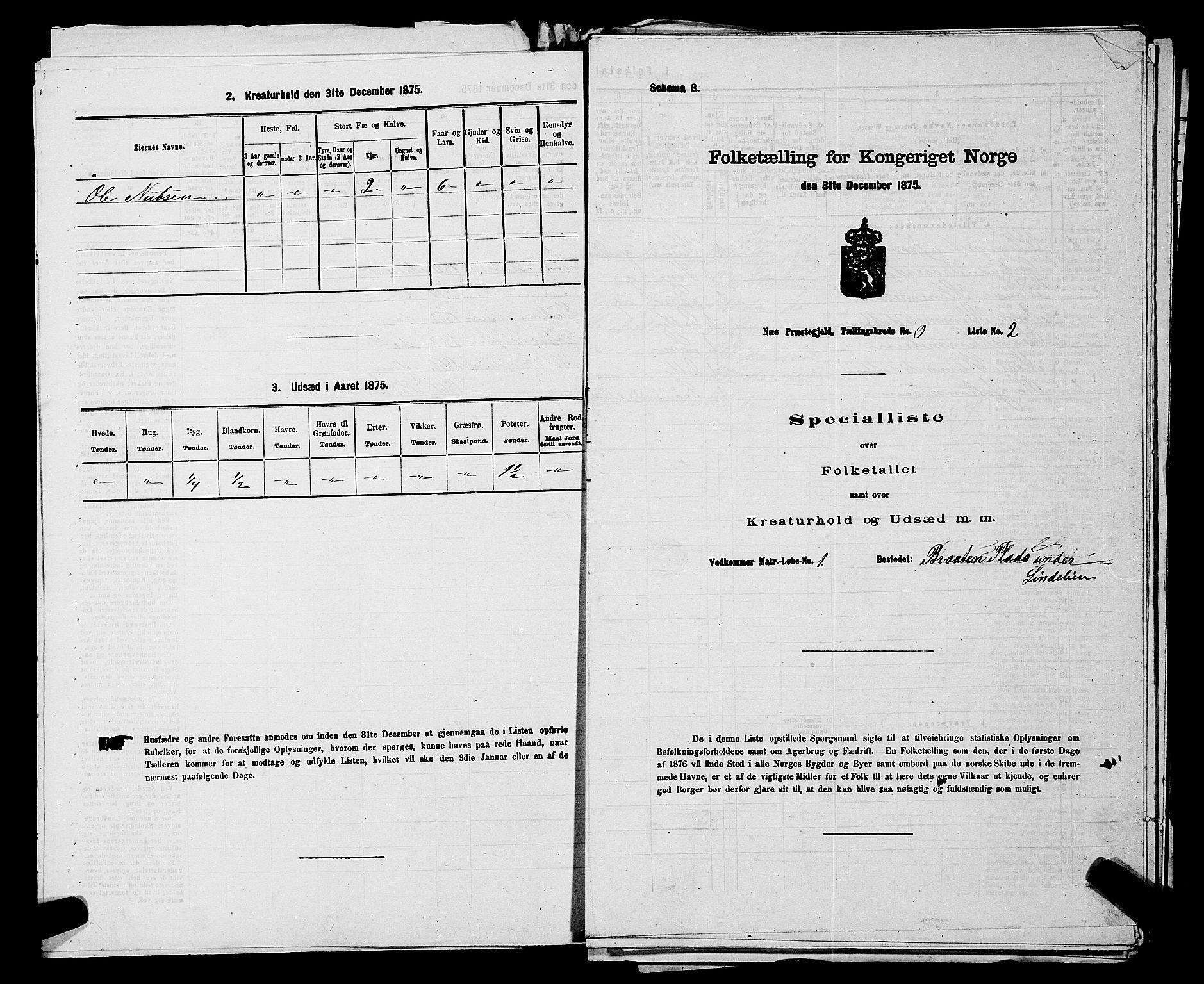 SAKO, Folketelling 1875 for 0616P Nes prestegjeld, 1875, s. 1408