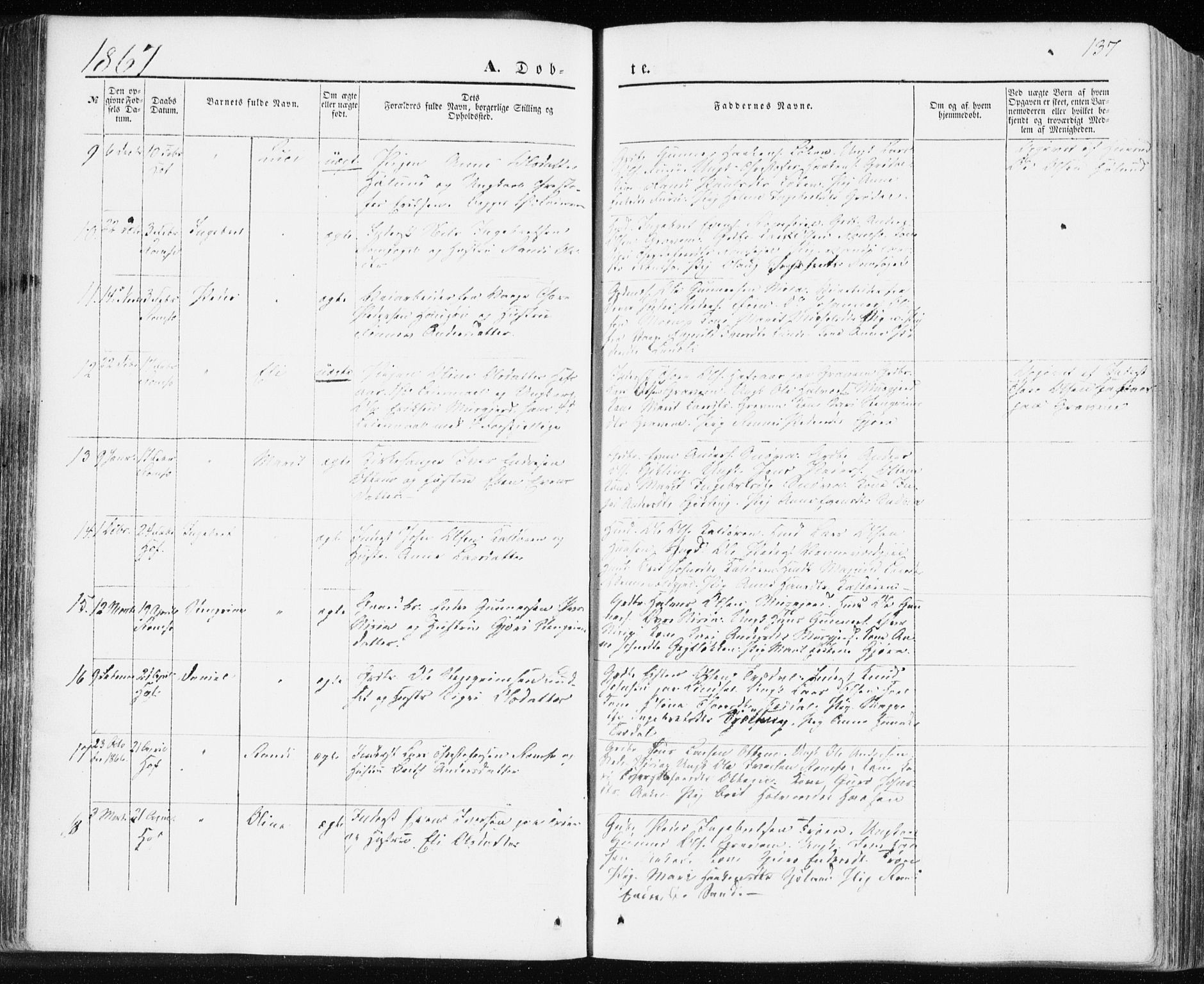 Ministerialprotokoller, klokkerbøker og fødselsregistre - Møre og Romsdal, AV/SAT-A-1454/590/L1013: Ministerialbok nr. 590A05, 1847-1877, s. 137