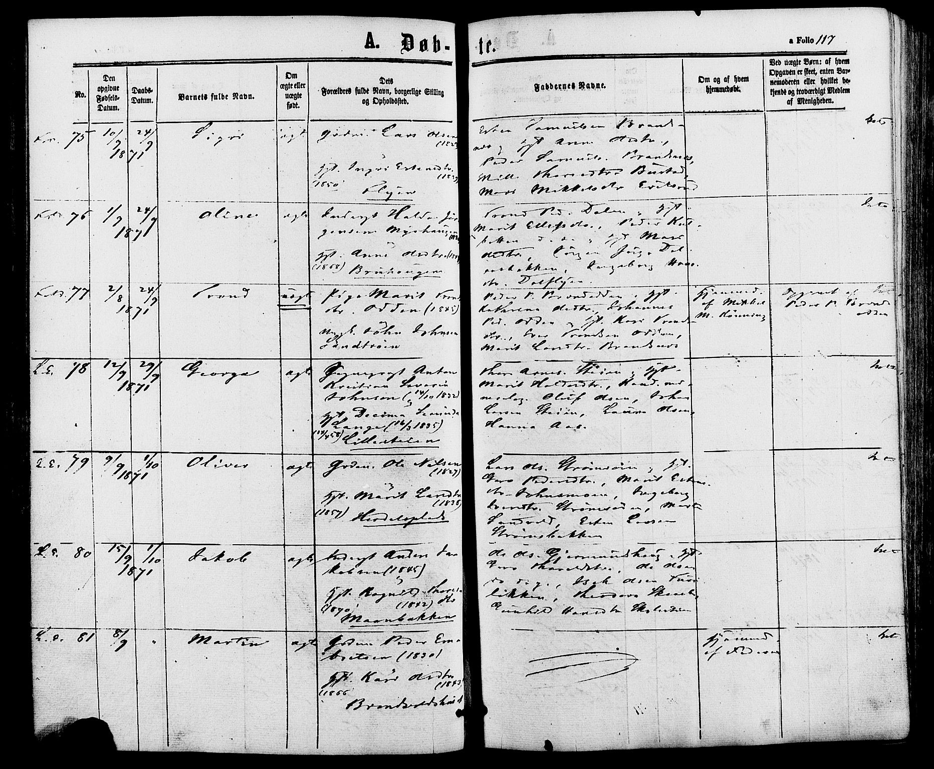 Alvdal prestekontor, AV/SAH-PREST-060/H/Ha/Haa/L0001: Ministerialbok nr. 1, 1863-1882, s. 117