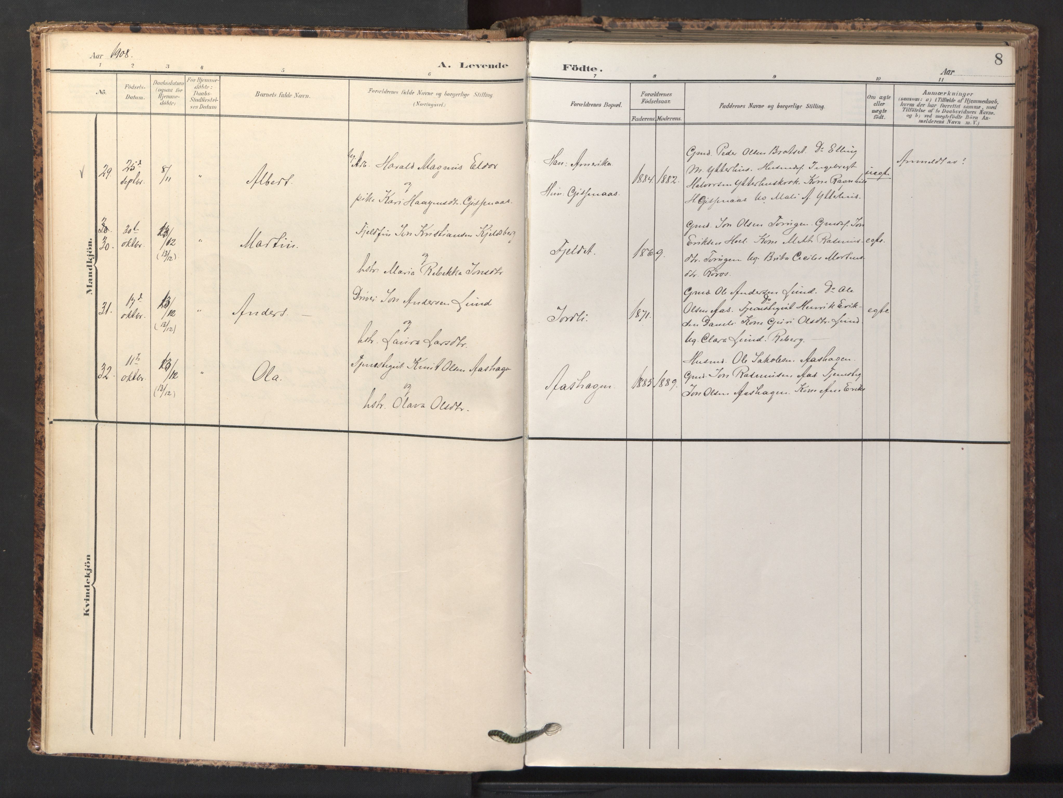 Ministerialprotokoller, klokkerbøker og fødselsregistre - Sør-Trøndelag, AV/SAT-A-1456/674/L0873: Ministerialbok nr. 674A05, 1908-1923, s. 8