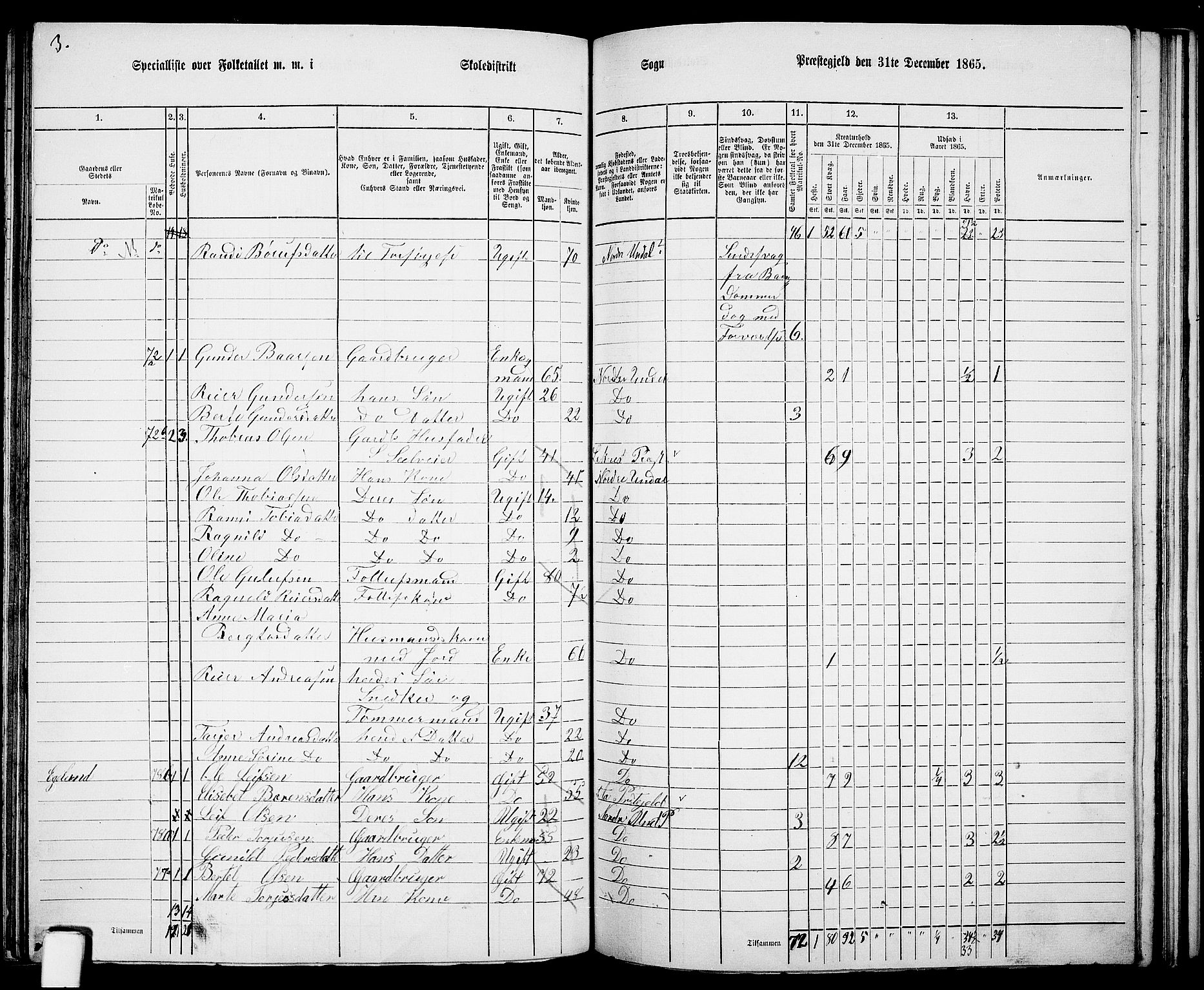 RA, Folketelling 1865 for 1028P Nord-Audnedal prestegjeld, 1865, s. 72