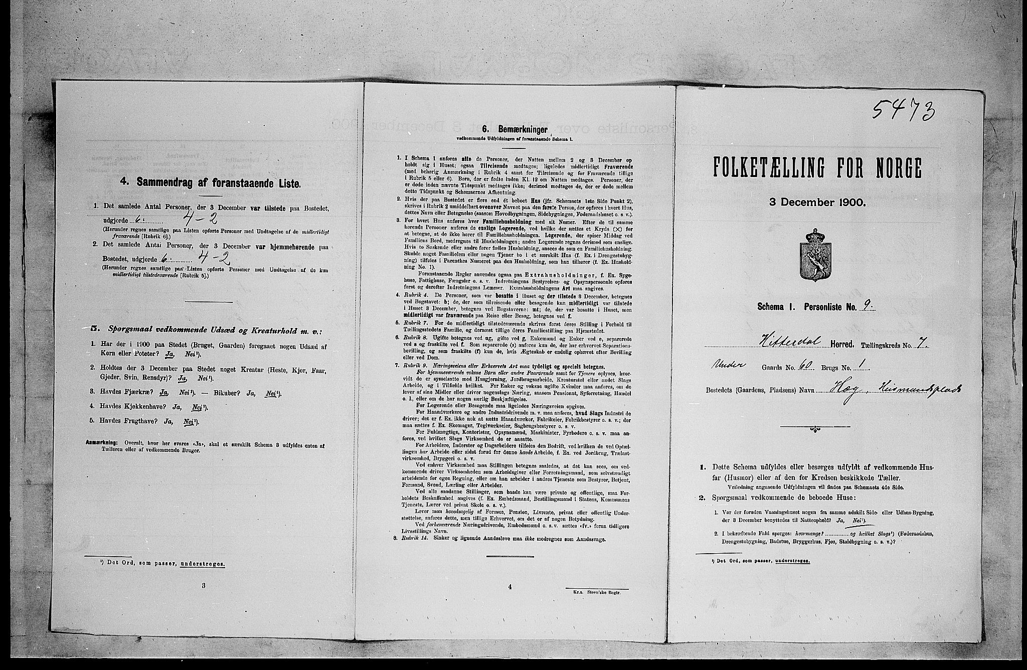 SAKO, Folketelling 1900 for 0823 Heddal herred, 1900, s. 949