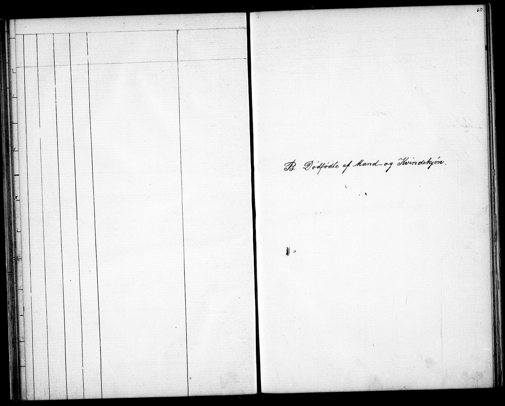 Valle sokneprestkontor, SAK/1111-0044/F/Fb/Fba/L0002: Klokkerbok nr. B 2, 1882-1894, s. 65
