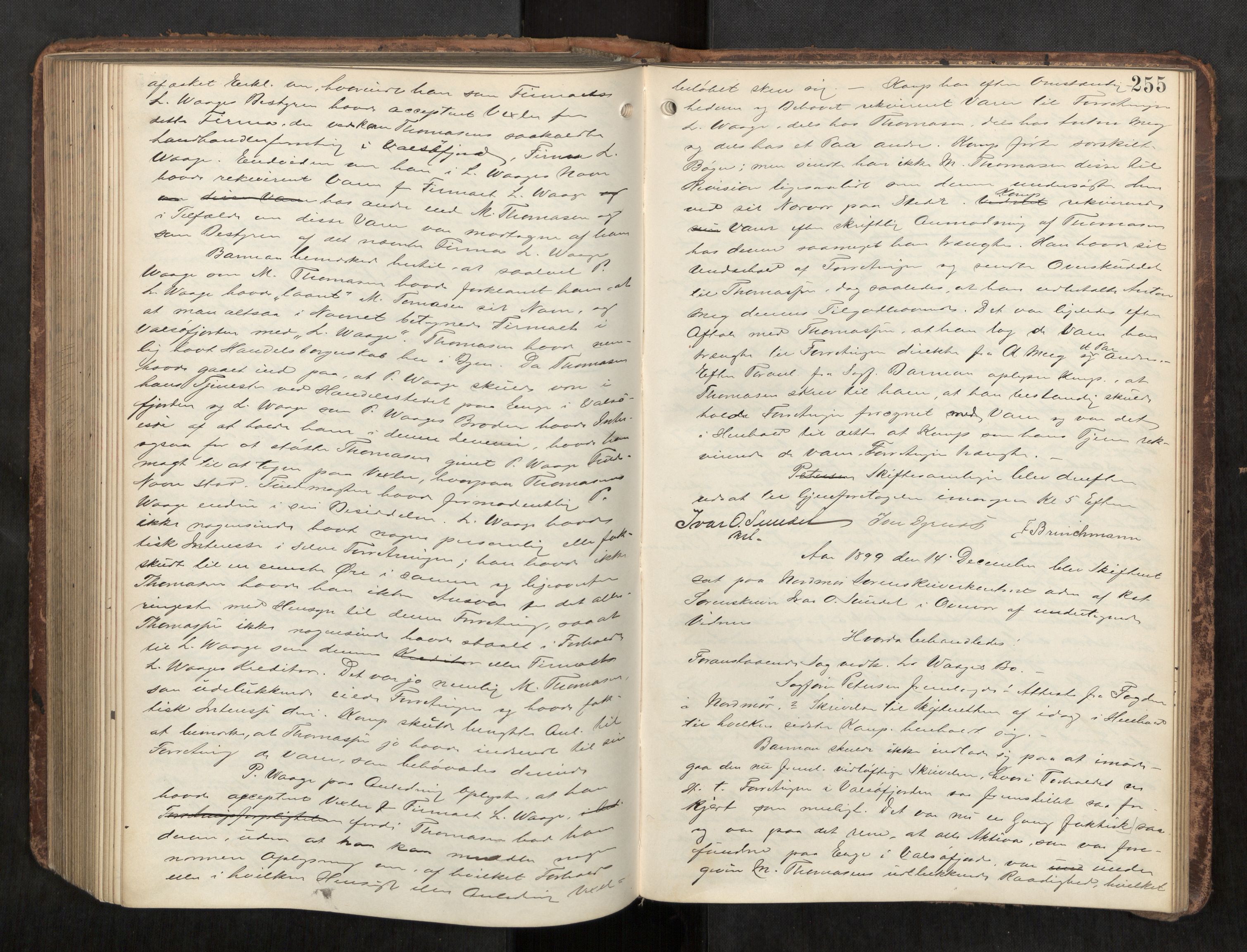 Nordmøre sorenskriveri, AV/SAT-A-4132/1/3/3B/L0006: Forhandlingsprotokoll nr. 06, 1894-1900, s. 255