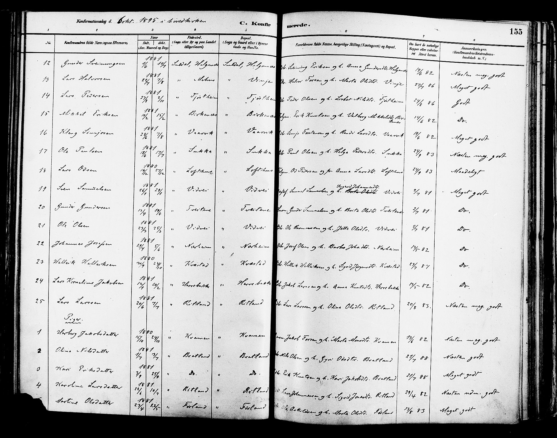 Suldal sokneprestkontor, AV/SAST-A-101845/01/IV/L0011: Ministerialbok nr. A 11, 1878-1900, s. 155