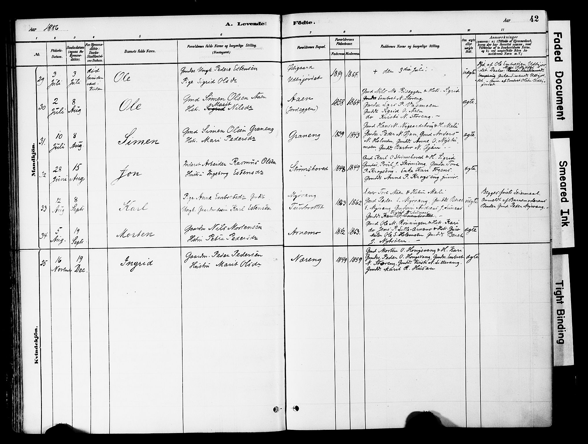 Tynset prestekontor, AV/SAH-PREST-058/H/Ha/Haa/L0022: Ministerialbok nr. 22, 1880-1899, s. 42