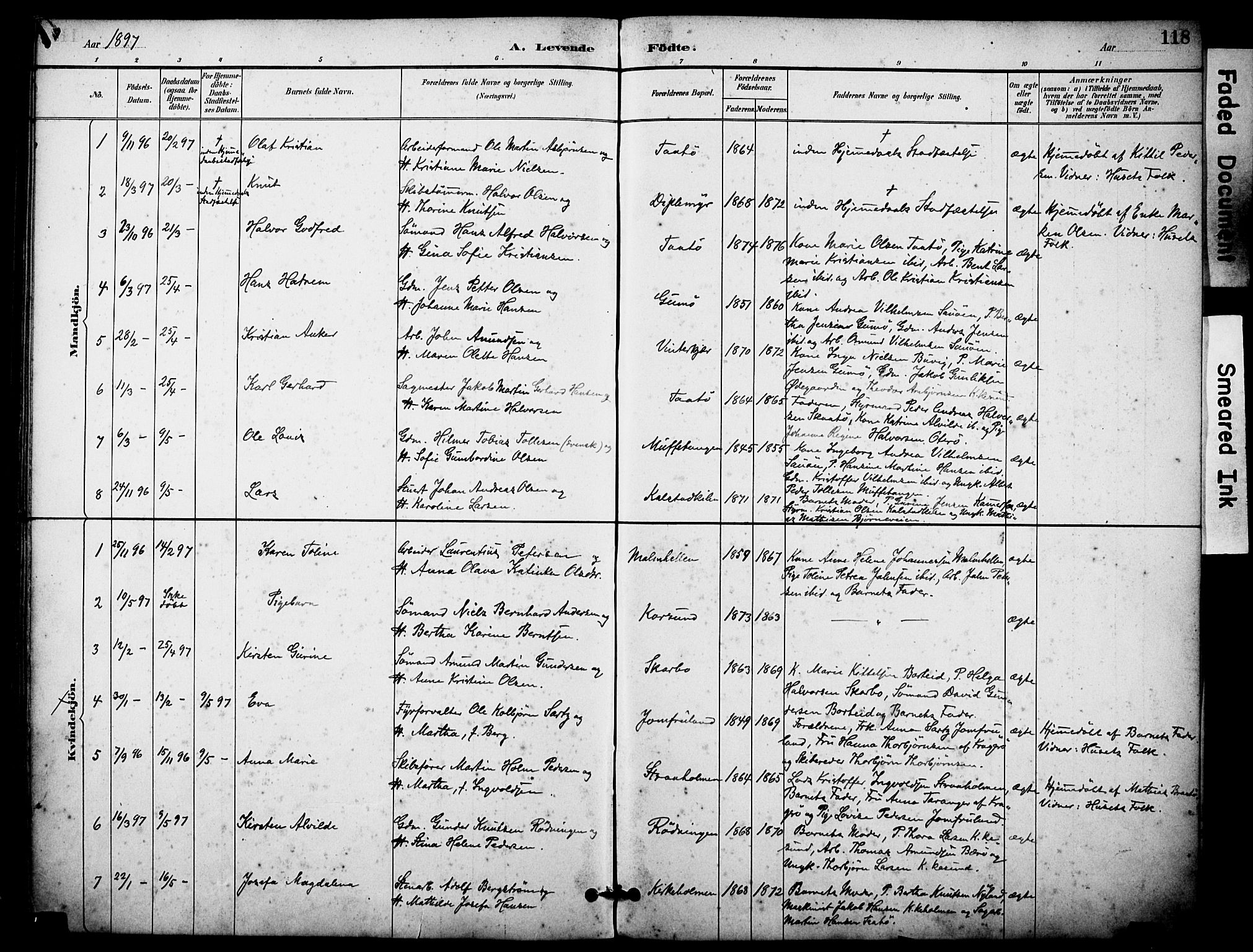 Skåtøy kirkebøker, AV/SAKO-A-304/F/Fa/L0002: Ministerialbok nr. I 2, 1884-1899, s. 118